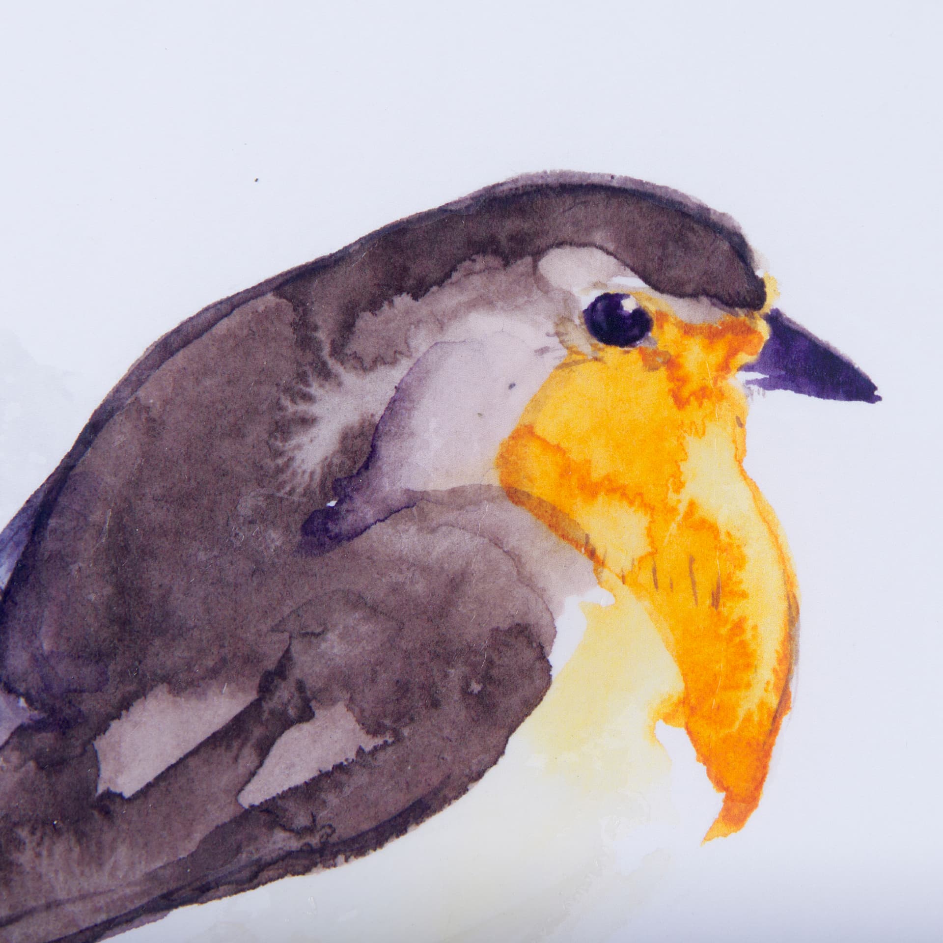 Robin II by Mercana Studio a Hand Embellished Textured Framed Art Print Matted under Glass — product photograph