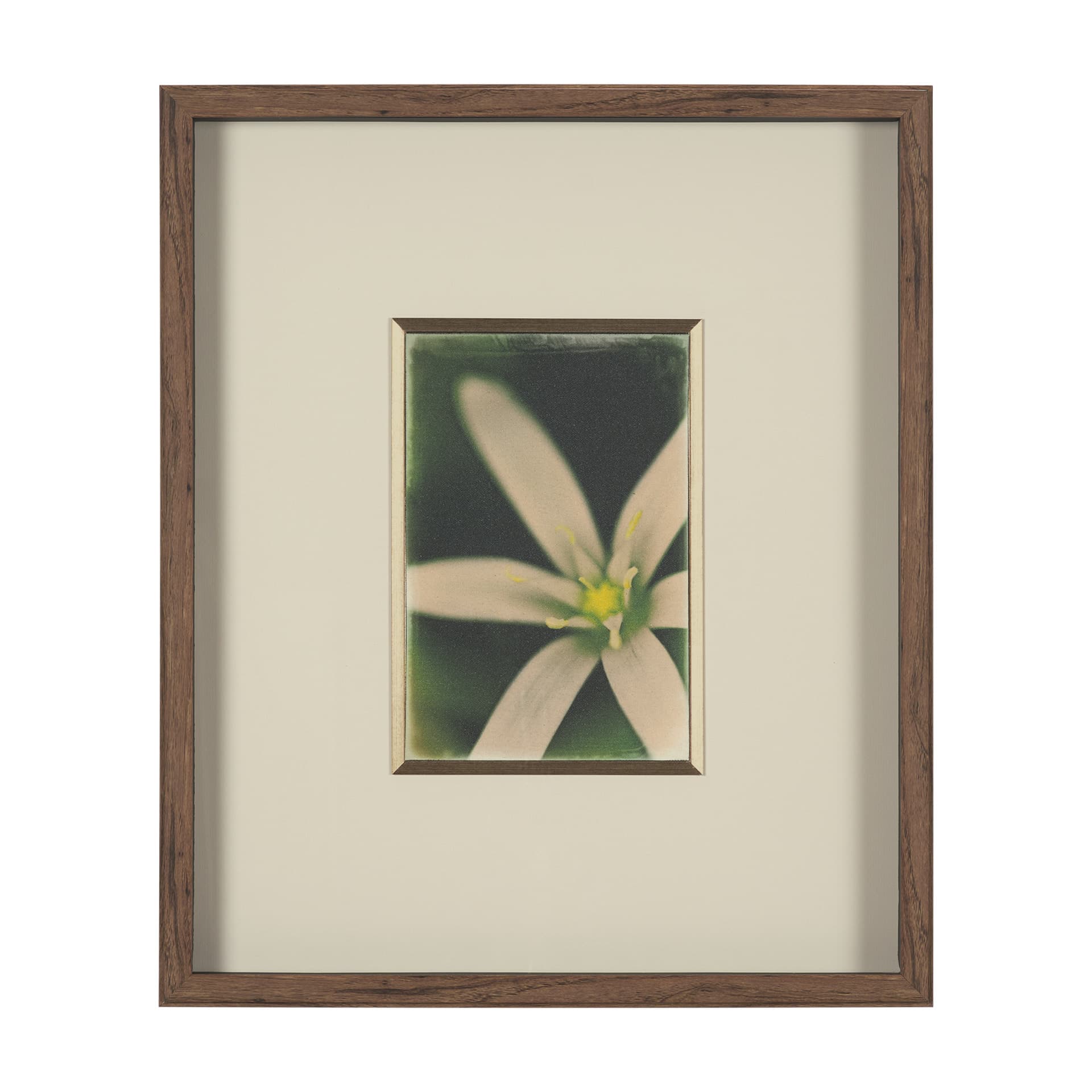 Floral Finesse by Michael Banks a Hand Embellished Framed Photo Art Print Matted under Glass — product photograph