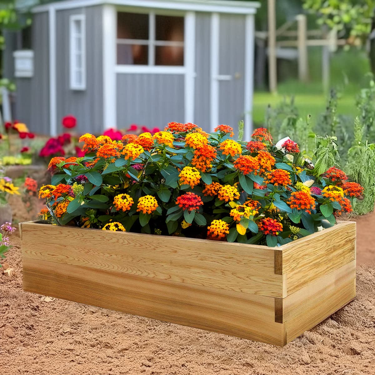 4x2 Ft Double Raised Garden Box - RG48-2 — product photograph