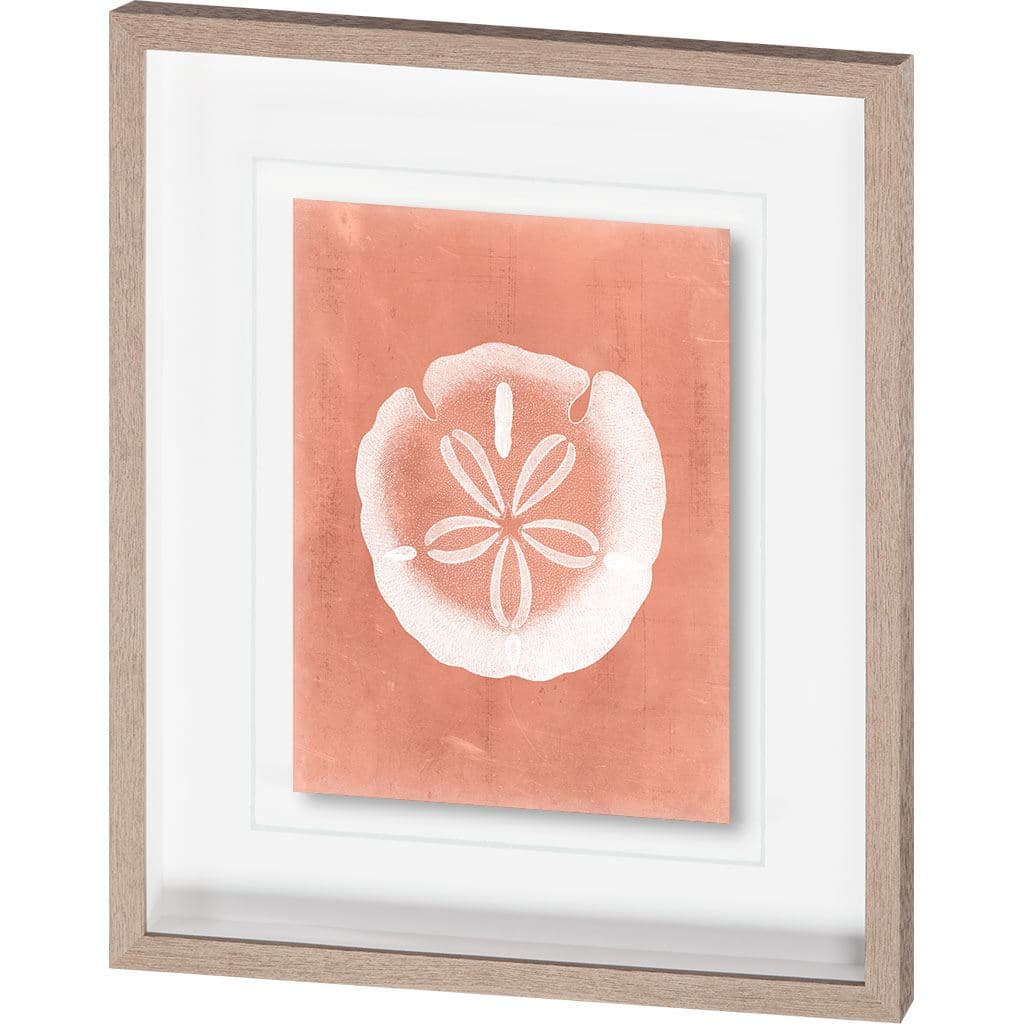 Sealife on Coral IX by Vision Studio a Hand Embellished Textured Framed Art Print Matted under Glass — product photograph