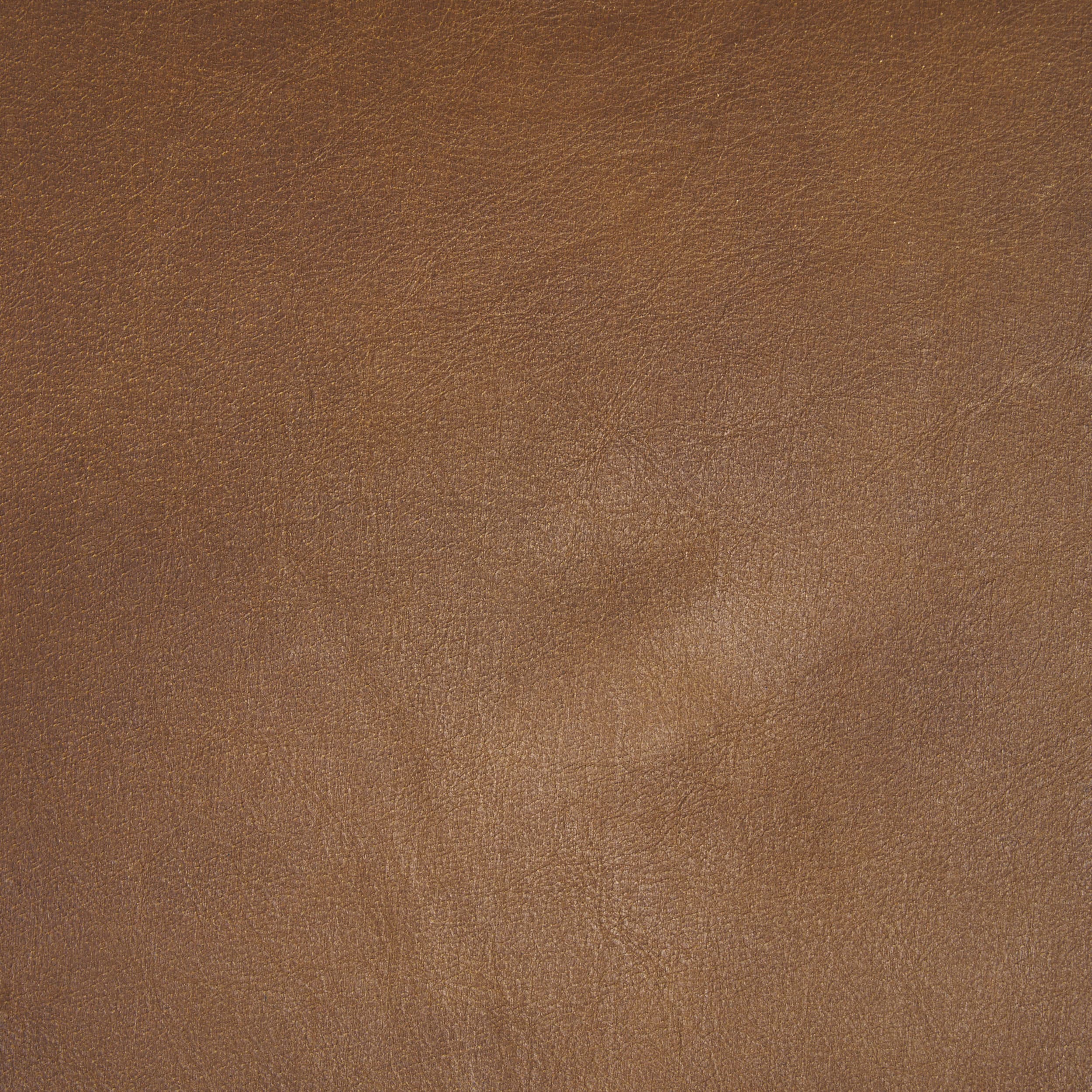 Taniel Backless 27.25in Seat Counter Stool | Brown Leather w/ Metal — product photograph