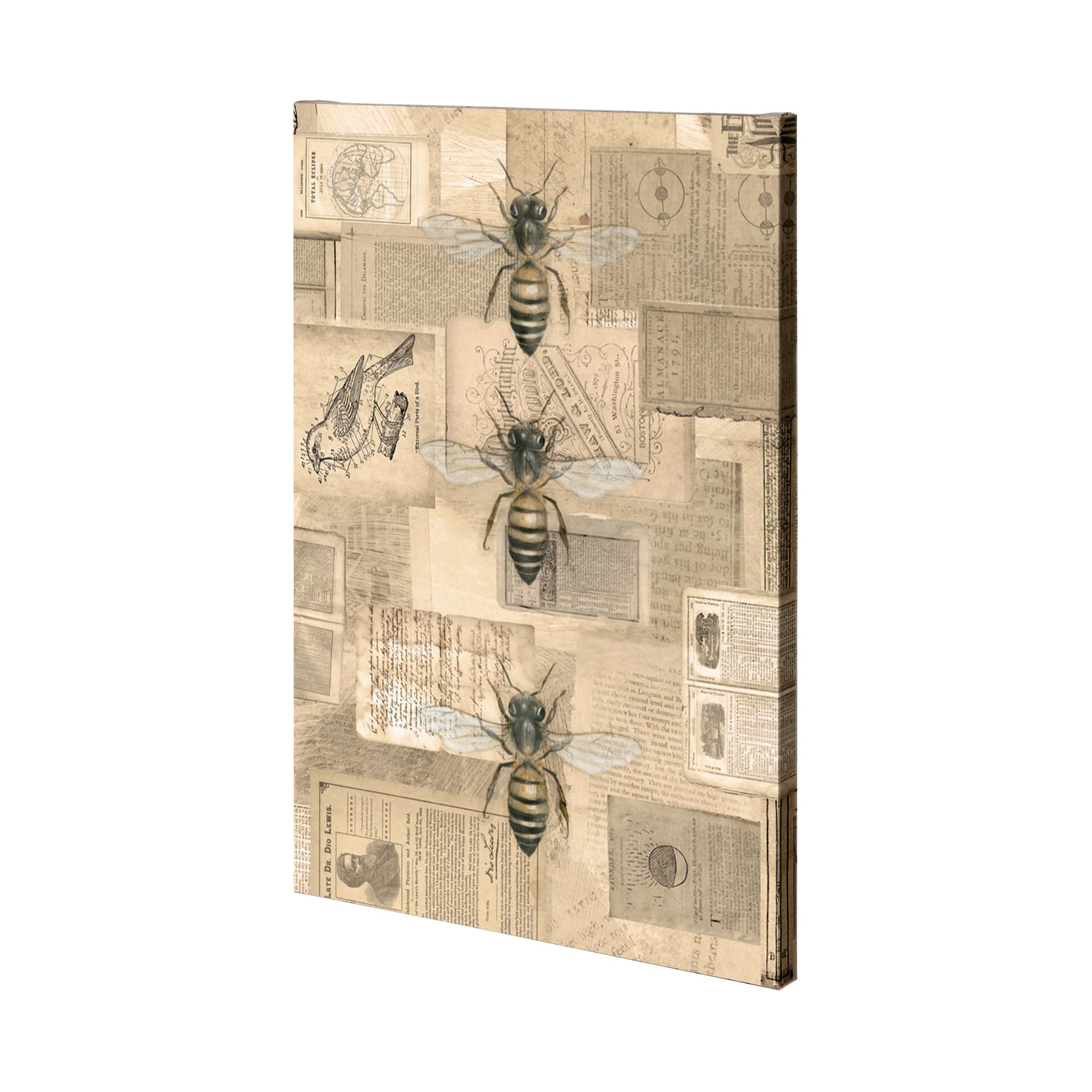 Academic Bee Illustration by Mercana Studio a Hand Embellished Textured Canvas — product photograph
