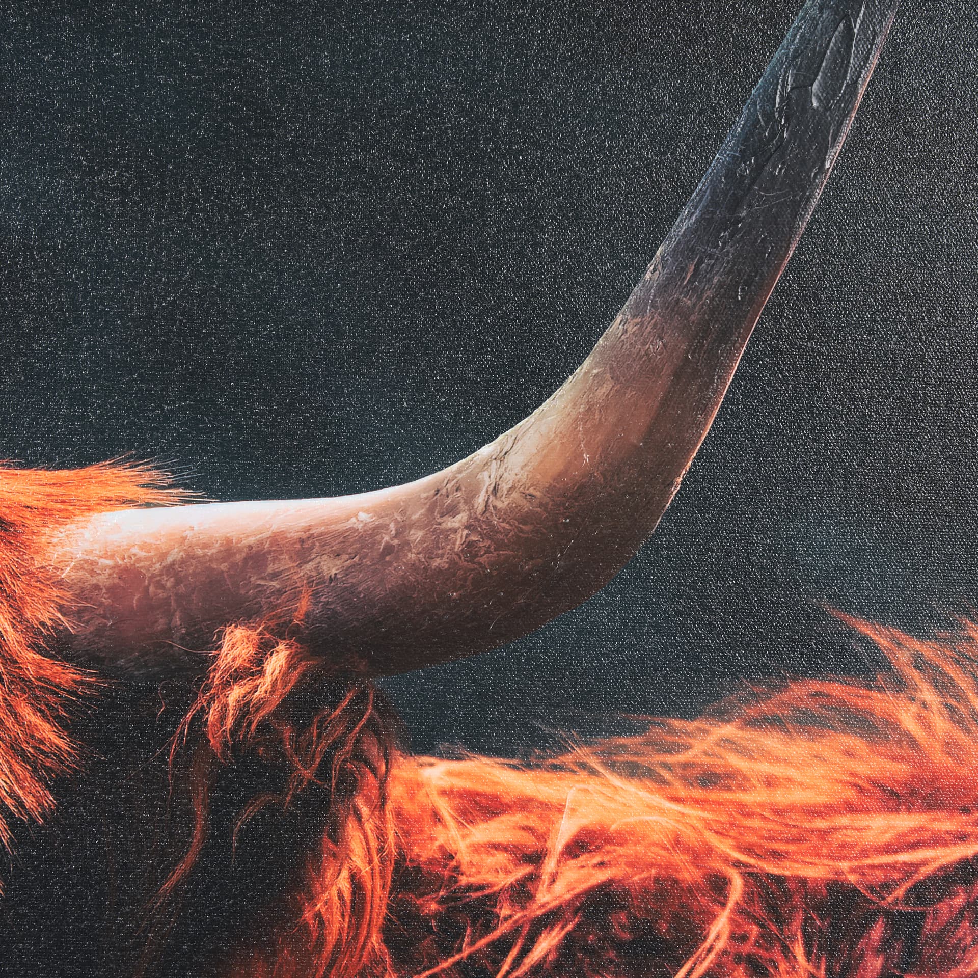 Fozzie by Chad Mackay a Hand Embellished Textured Framed Photo Art Print — product photograph