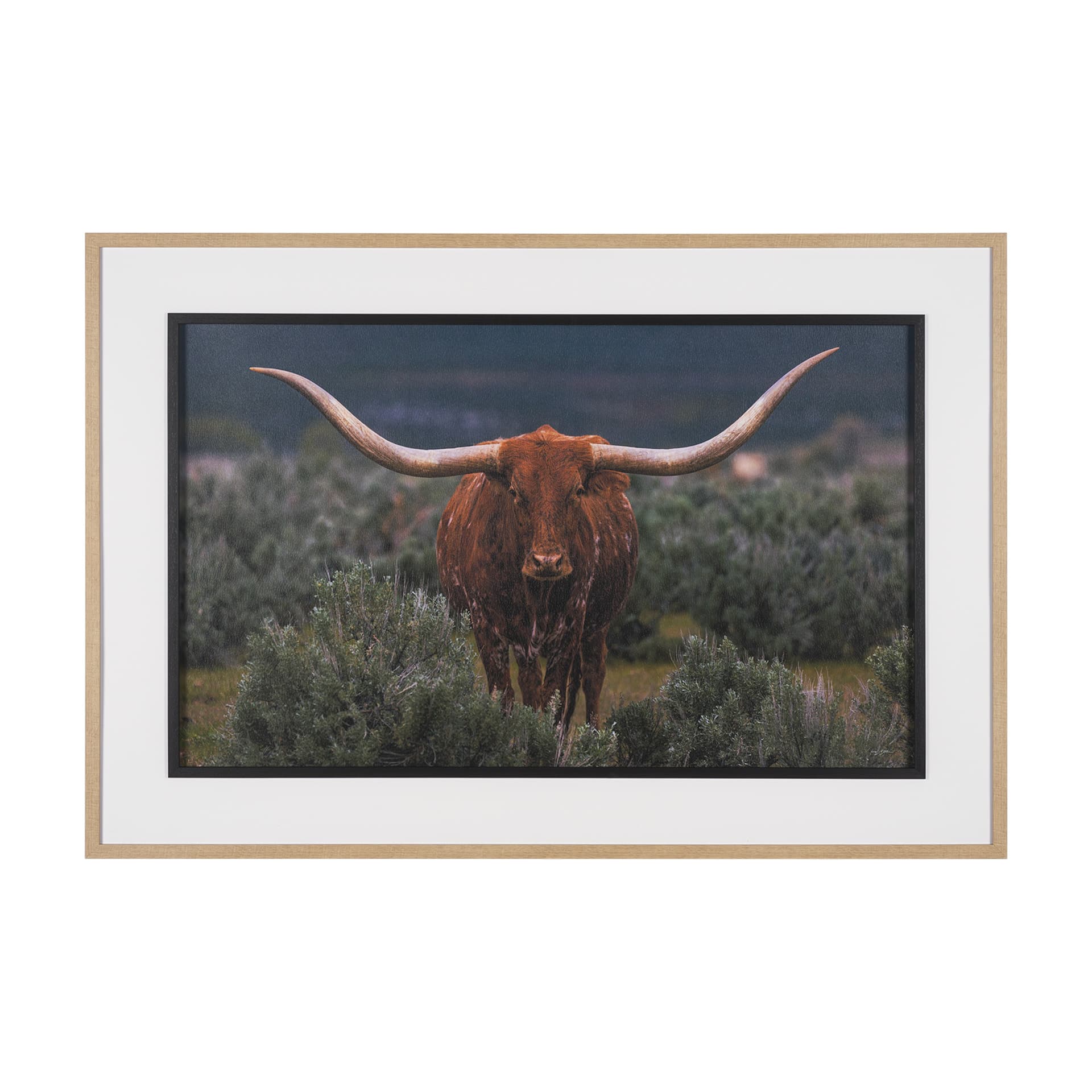 Longhorn 5 by Gary Blatter a Hand Embellished Framed Photo Art Print Matted under Glass — product photograph