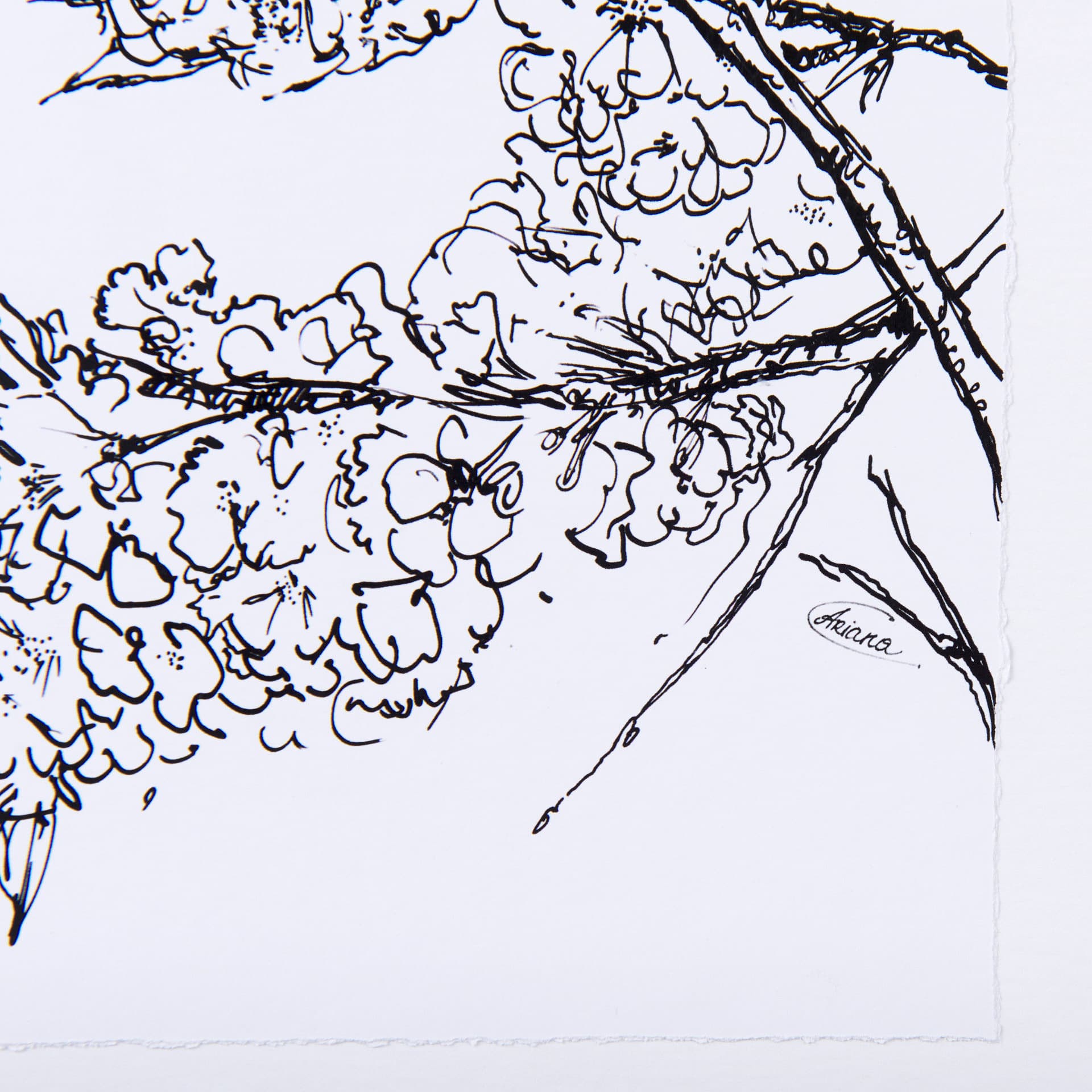 Spring Blooming V by Mercana Studio a Hand Embellished Textured Framed Art Print Matted under Glass — product photograph