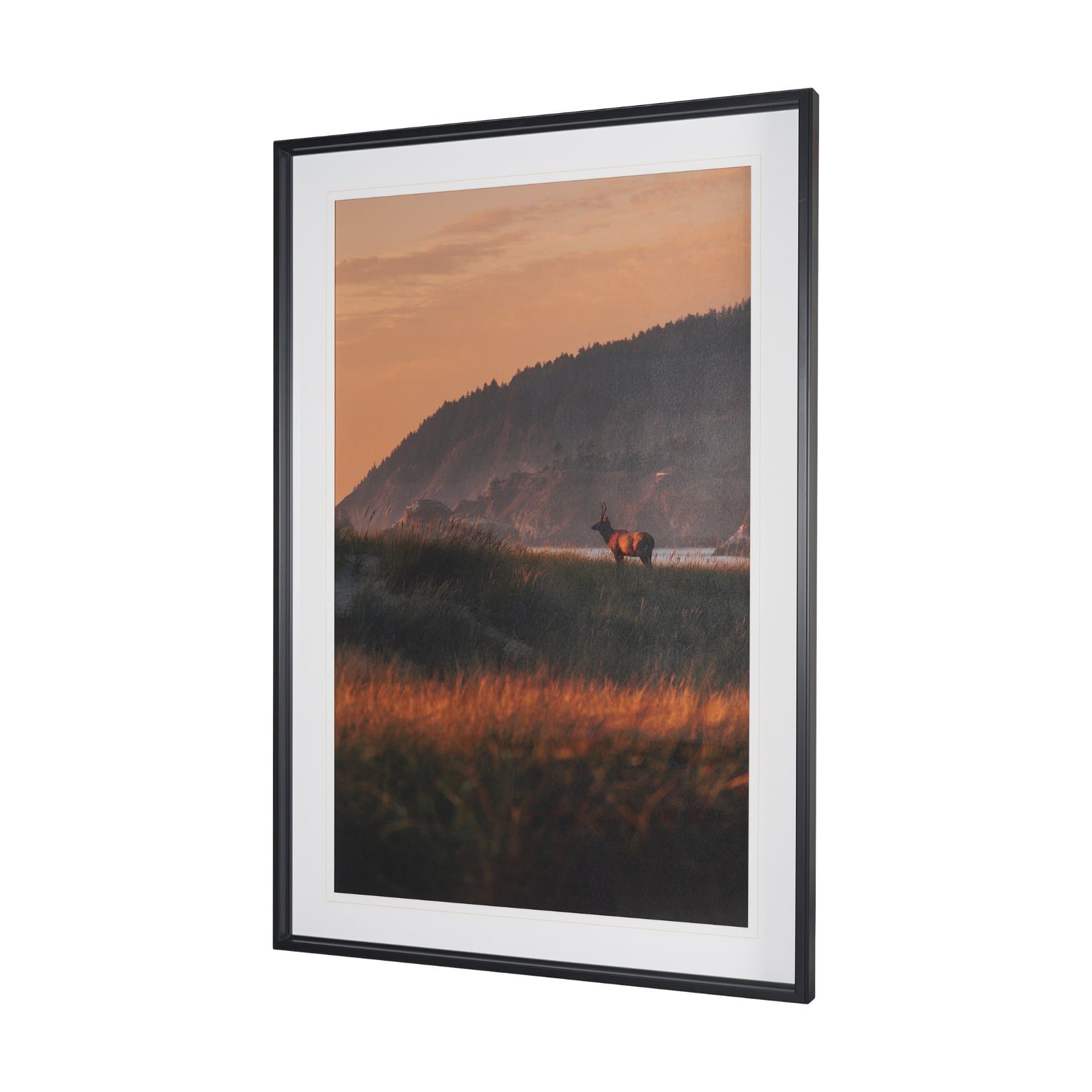 Elk by Stefan and Audrey Textured Framed Photo Print Matted under Glass — product photograph