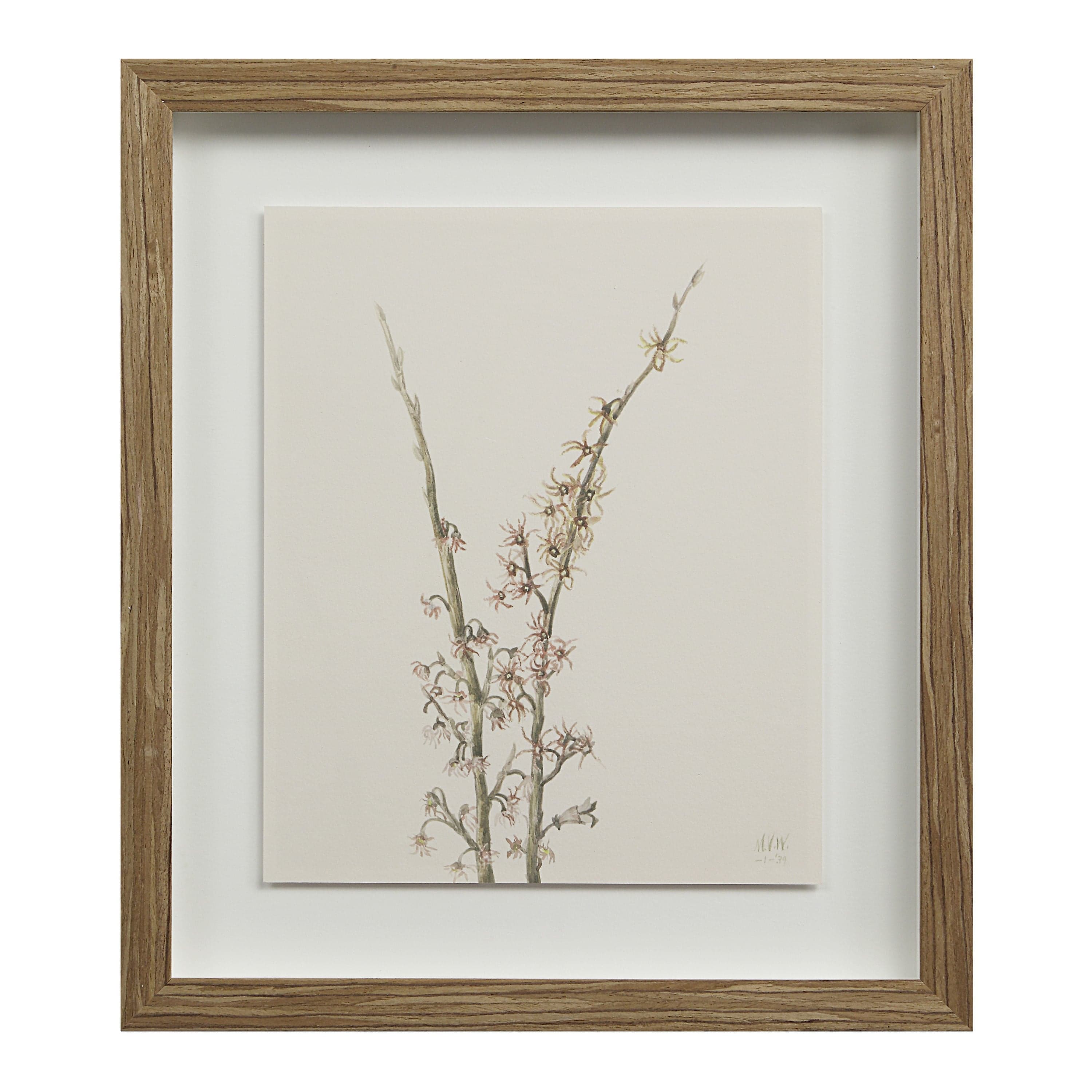 Crema — product photograph