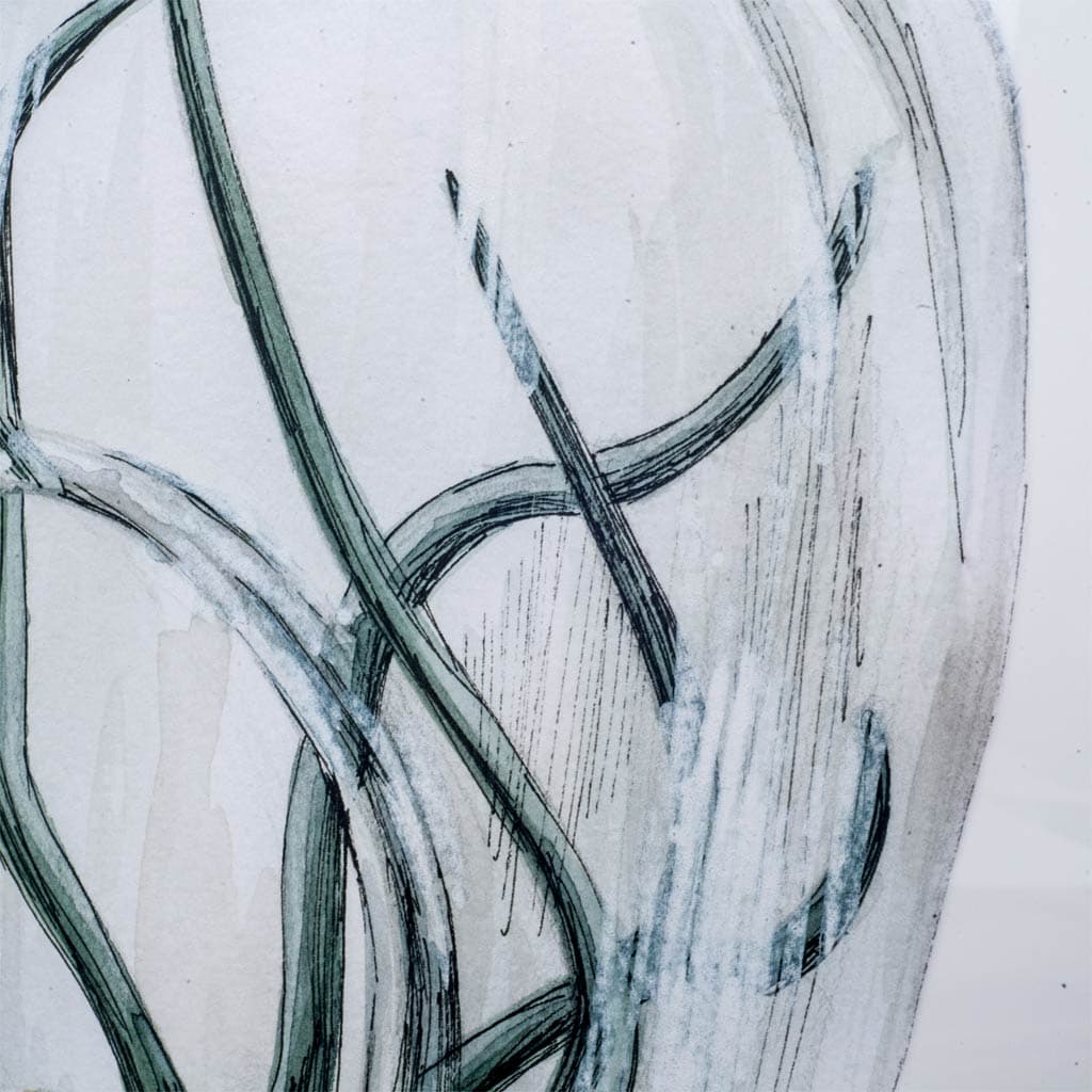 Air Plant 1 by Harvey, Brenna a Framed Art Print Matted under Glass — product photograph