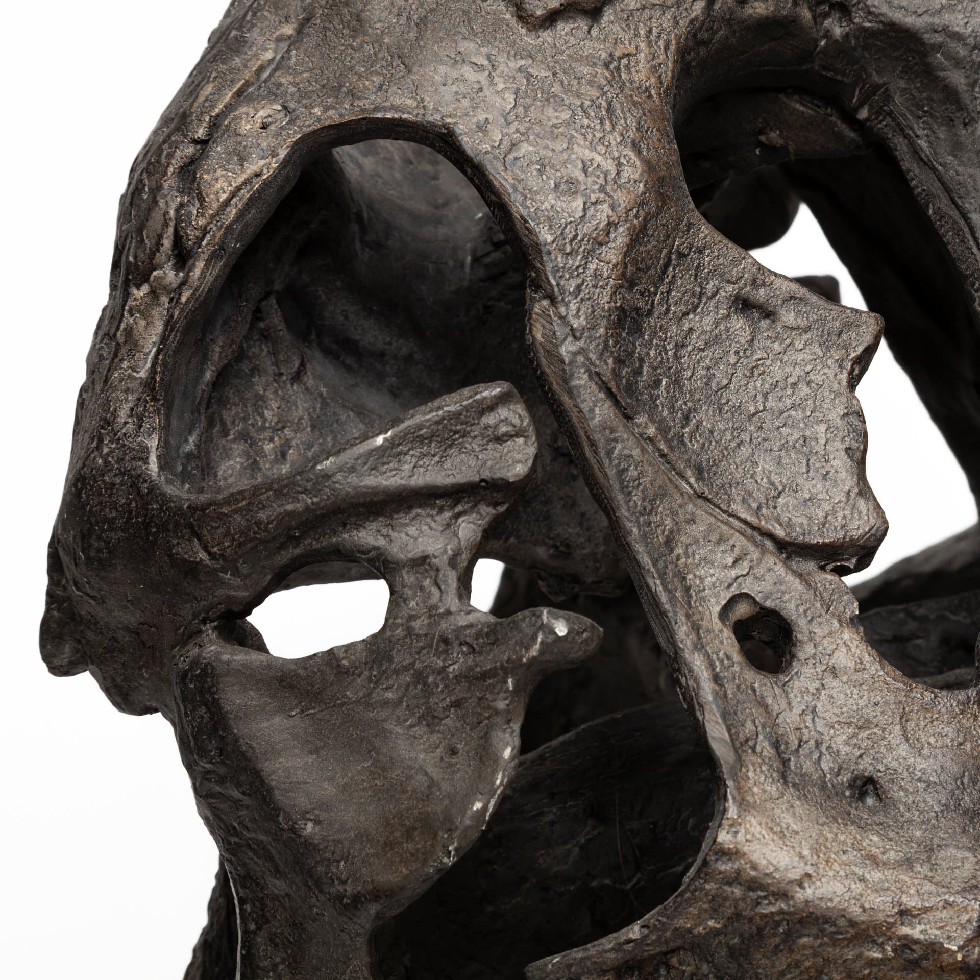 Lagrane 19L x 11W Brown Resin Tyrannosaurus T Rex Dinosaur Skull Replica — product photograph