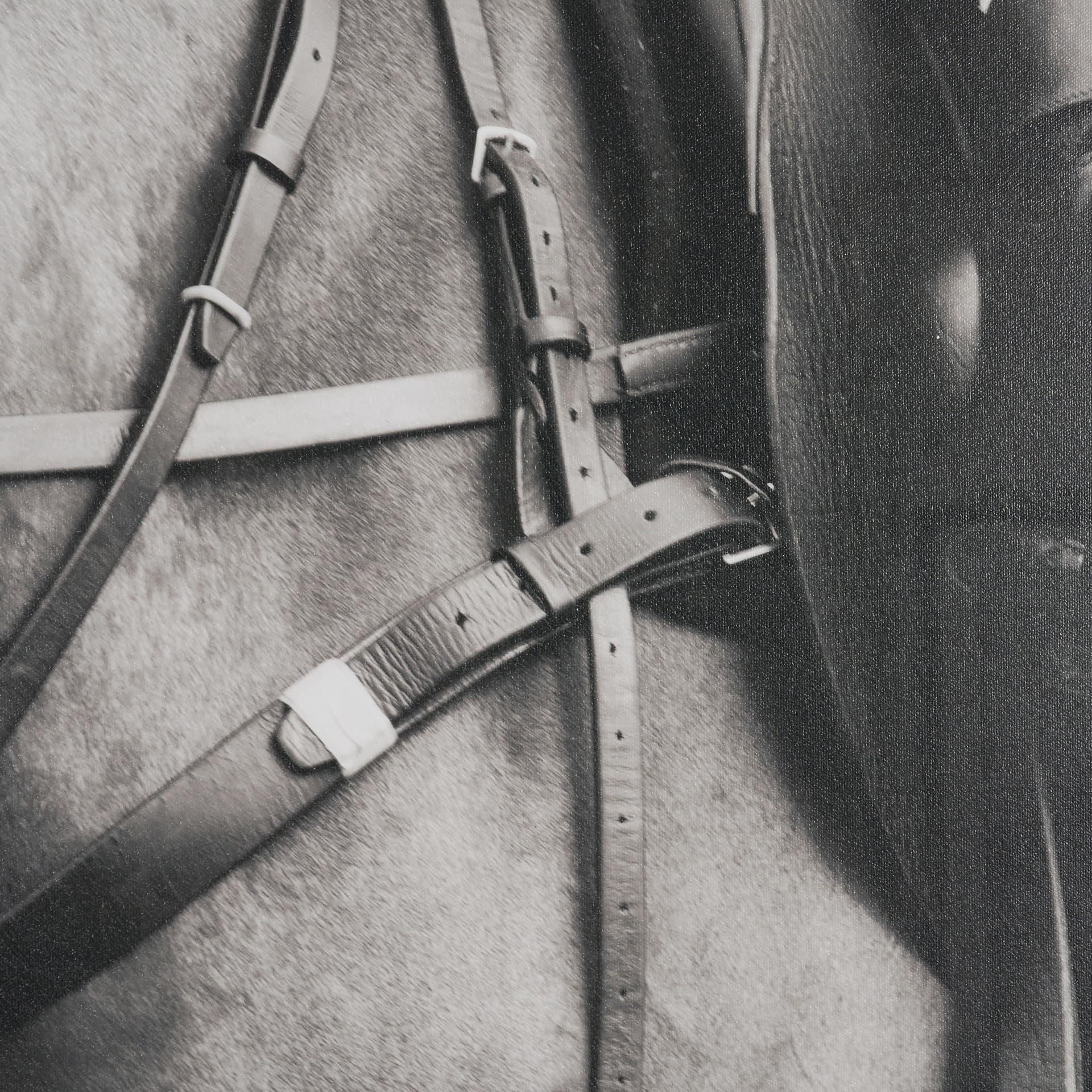 Wield by The Chelsea Collection Textured FramedPhoto Print Matted under Glass — product photograph