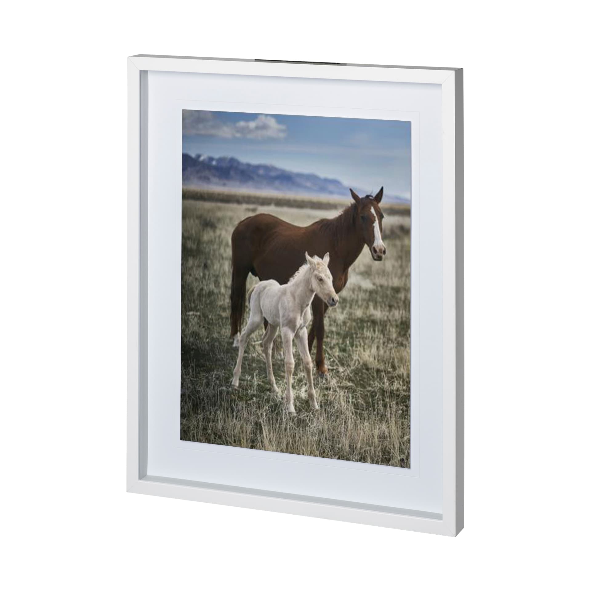 Horse 6 by Dunker a Framed Photo Art Print Matted under Glass — product photograph