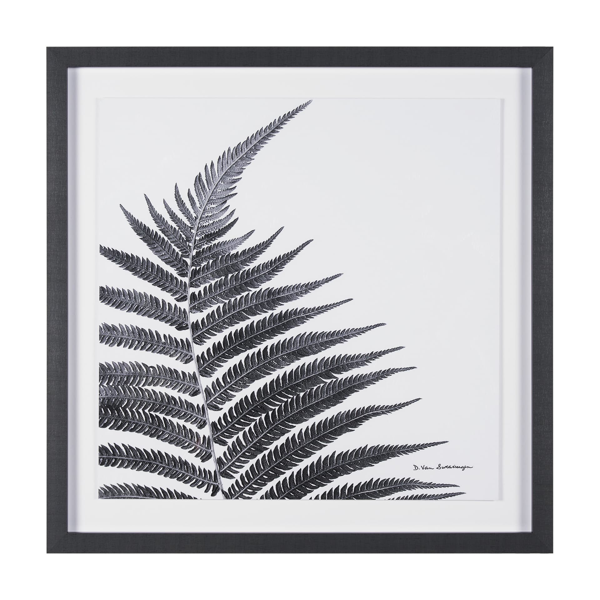 Truth by Debra Van Swearingen a Hand Embellished Framed Photo Art Print Matted under Glass — product photograph