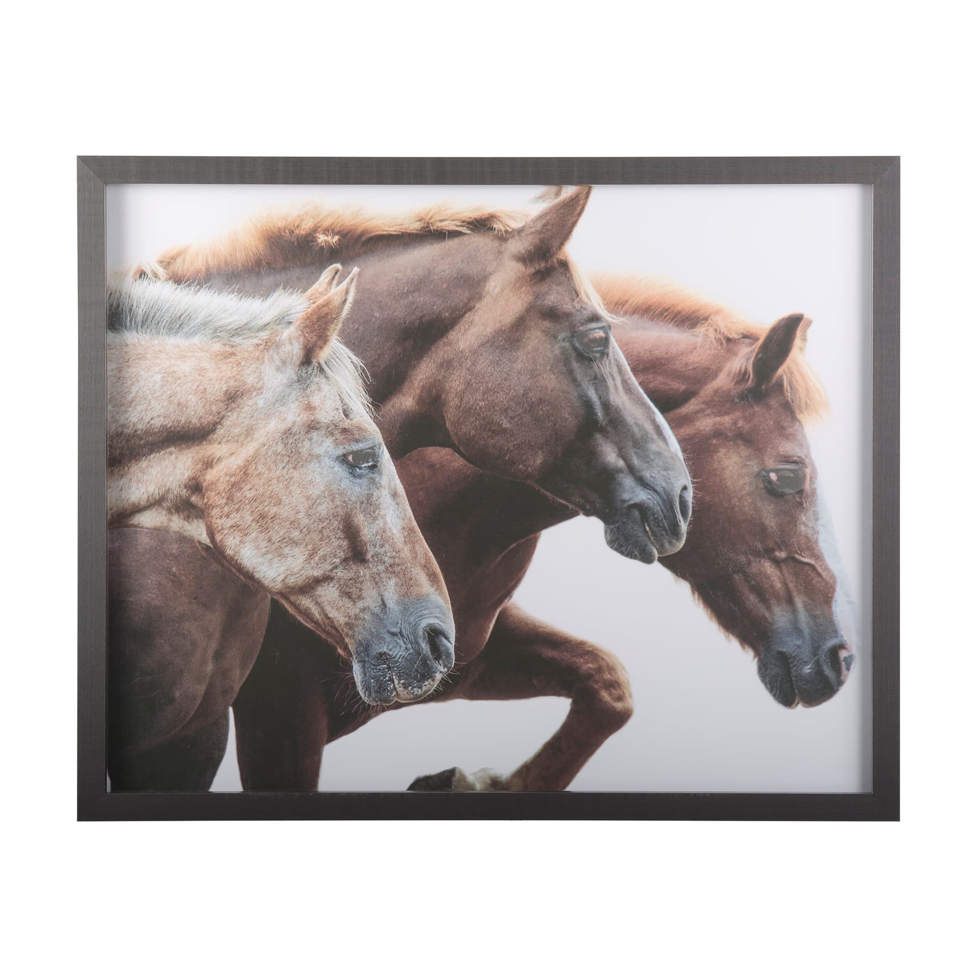 Bold Equine - Run by Mercana Studio a Hand Embellished Textured Framed Photo Art Print Matted under — product photograph