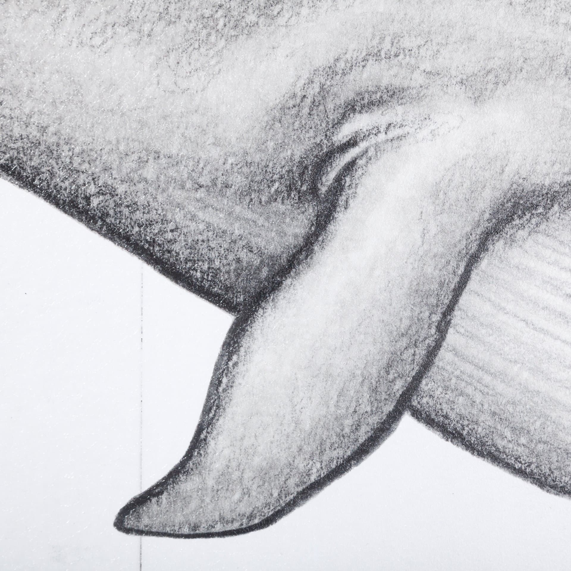Blue Whale by Mercana Studio a Hand Embellished Textured Framed Art Print — product photograph