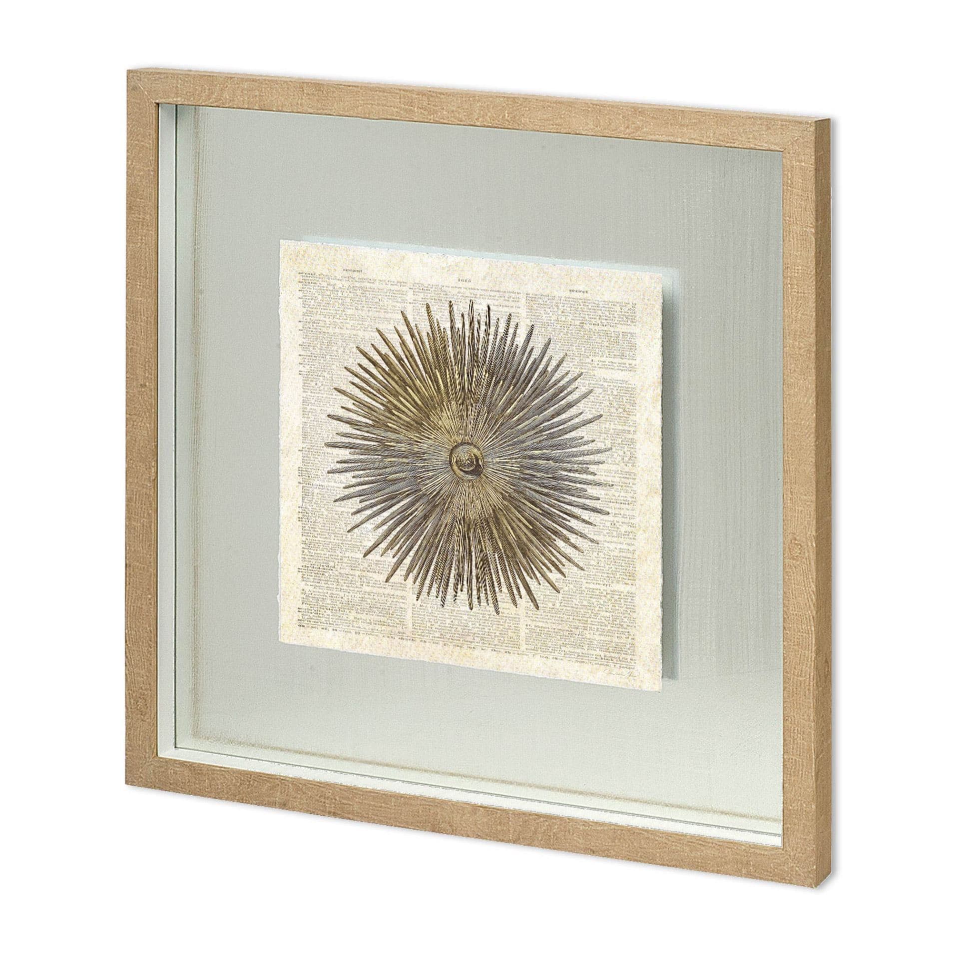 Sea Urchin Pages by Christopher James Hand Embellished Textured Framed Art Print Matted under Glass — product photograph