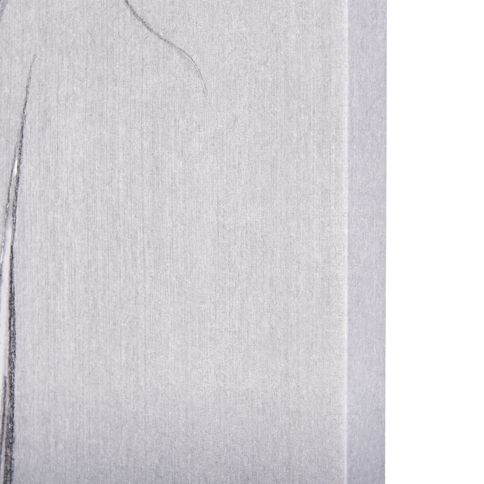 Botanical sketches IV (Grey) by Mercana Studio a Hand Embellished Textured Canvas — product photograph