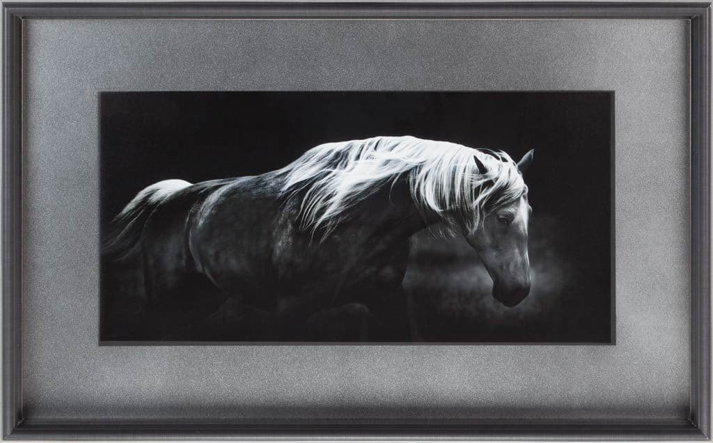 Bonnie Portrait by PHBurchett a Framed Photo Art Print Matted under Glass — product photograph