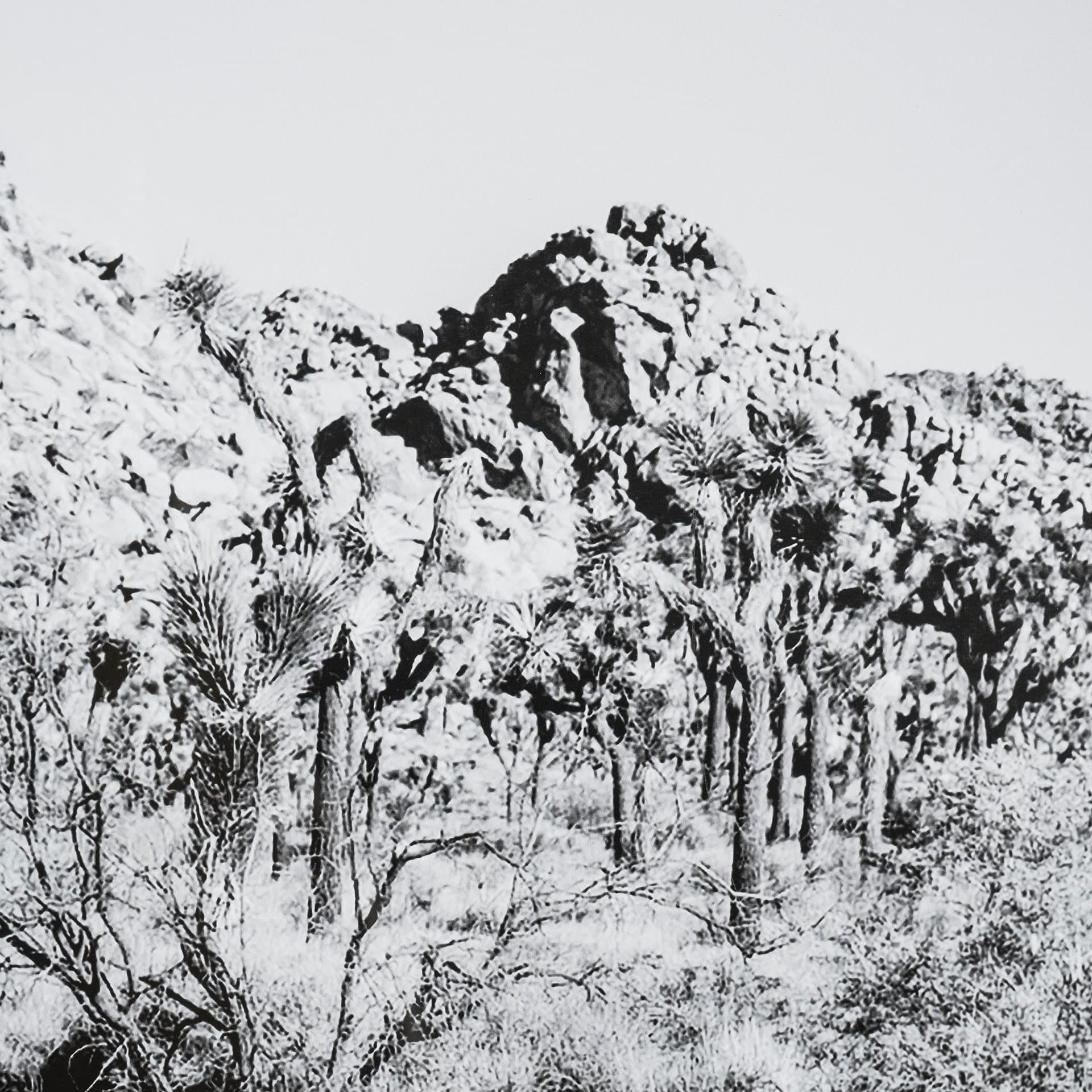 Road Trip I by Elizabeth Urquhart a Framed Photo Art Print Matted under Glass — product photograph