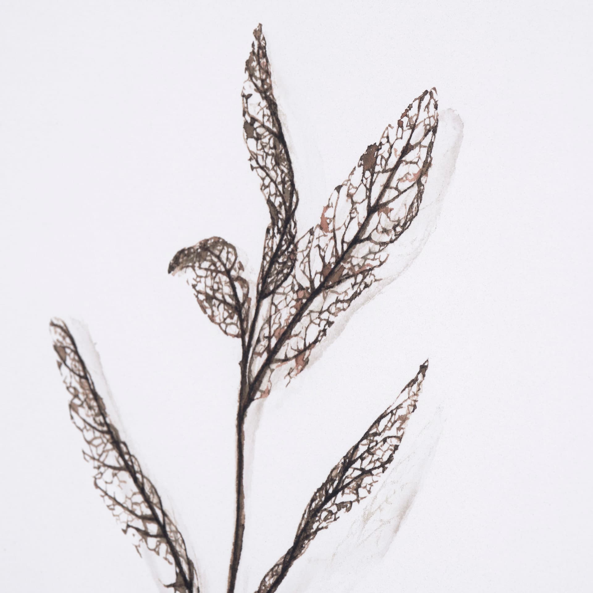 Olive Branch I by Gabrielle a Framed Art Print Matted under Glass — product photograph