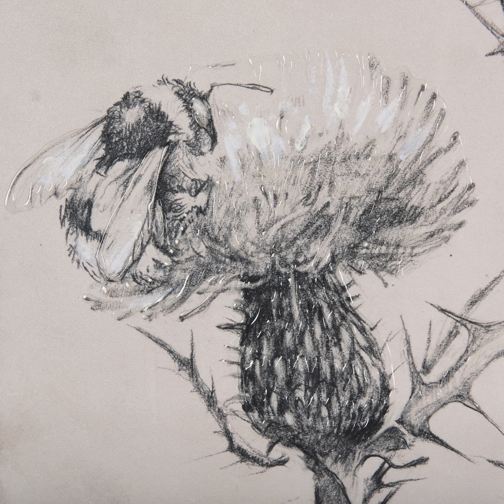 Thistle With Bumblebee Drawing IV Mercana Studio Hand Embellished Framed Art Print Matted under Glas — product photograph