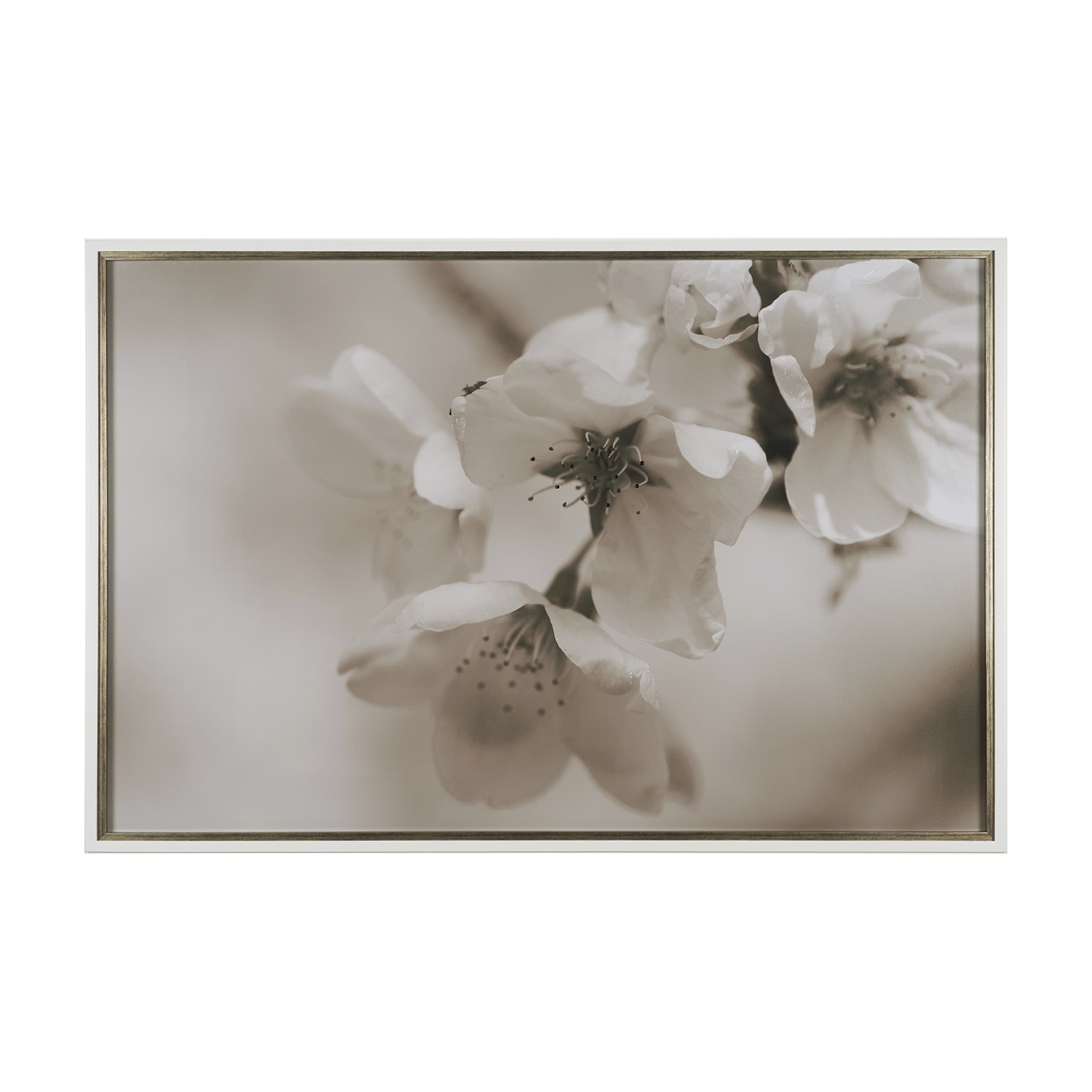 Soft Petals II by Nancy Crowell a Hand Embellished Textured Framed Photo Art Print Matted under Glas — product photograph