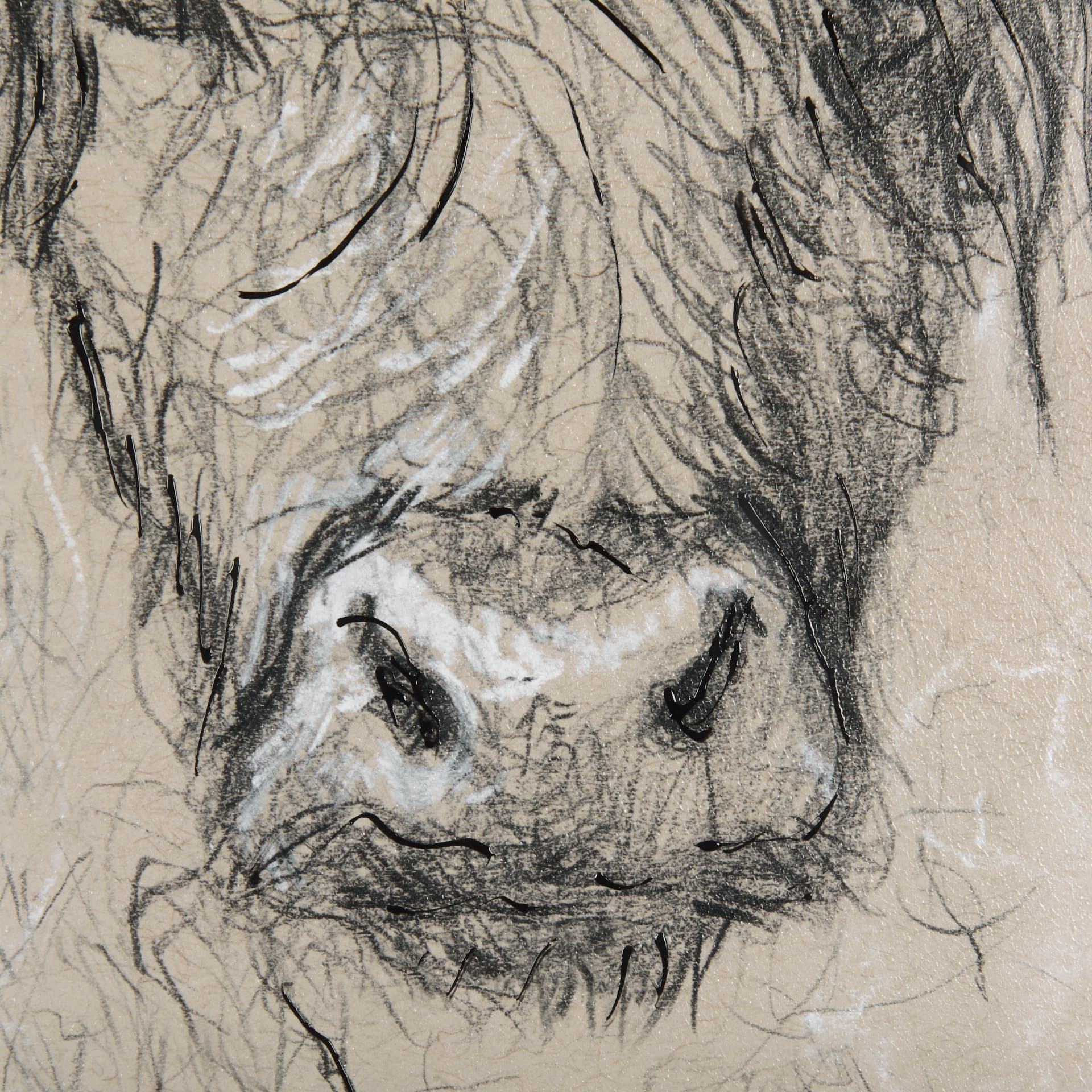 Sketch of Animal VIII by Mercana Studio Hand Embellished Framed Art Print Matted under Glass — product photograph