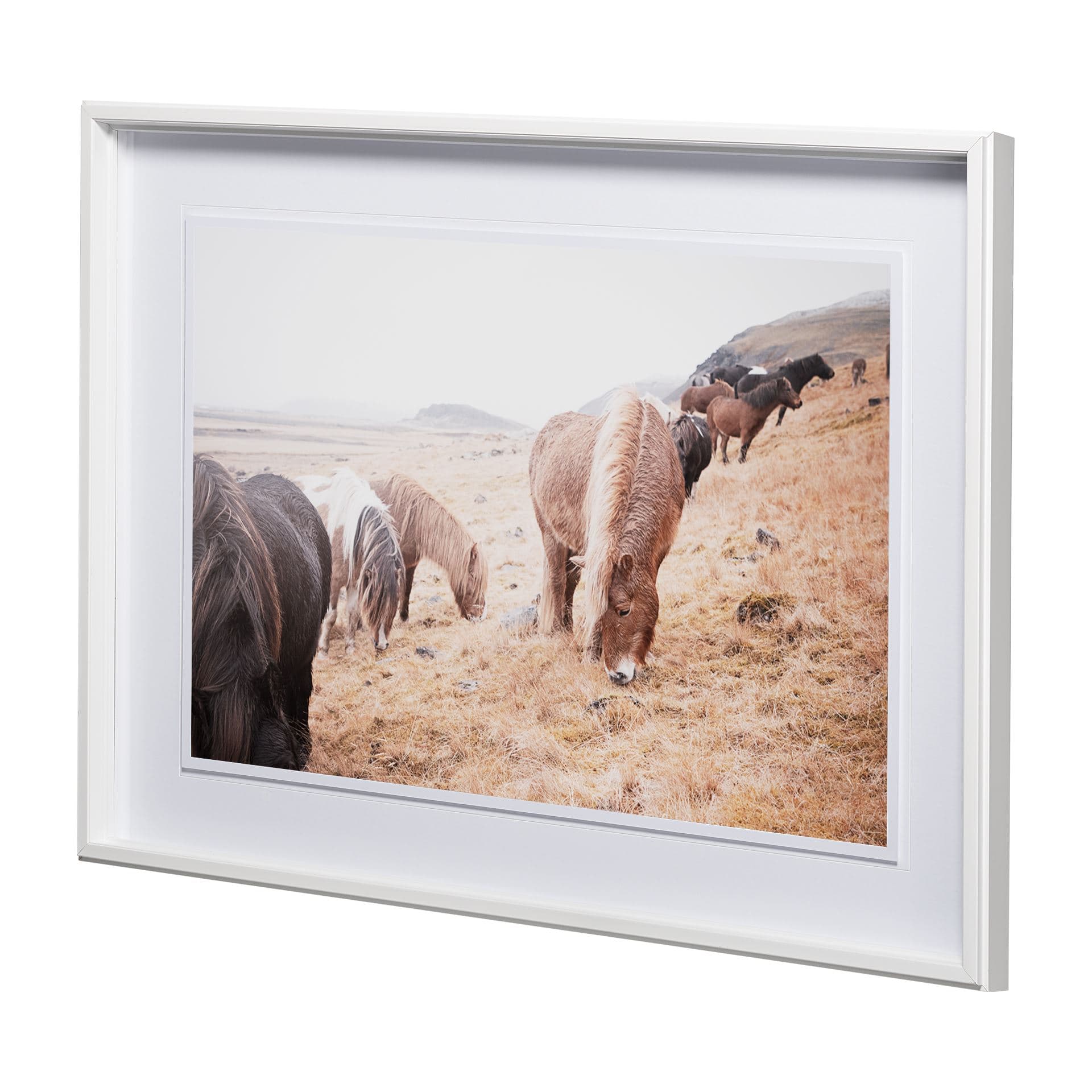 Horses of Hofn II by Laura Marshall a Framed Photo Art Print Matted under Glass — product photograph