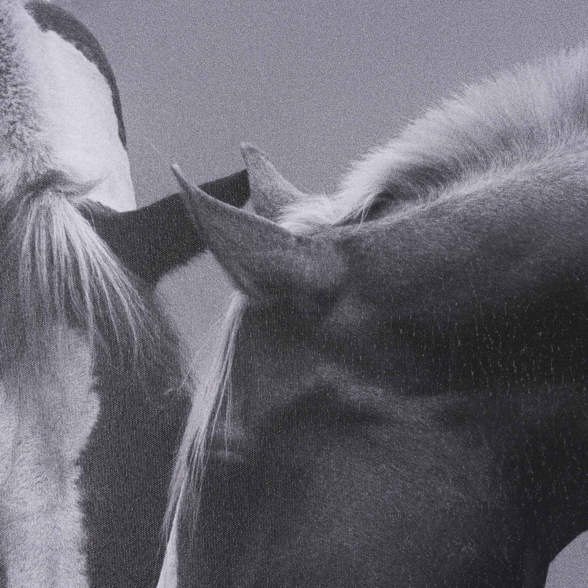 Horse Harmony - Caress by Laura Warren a Hand Embellished Framed Photo Art Print Matted under Glass — product photograph