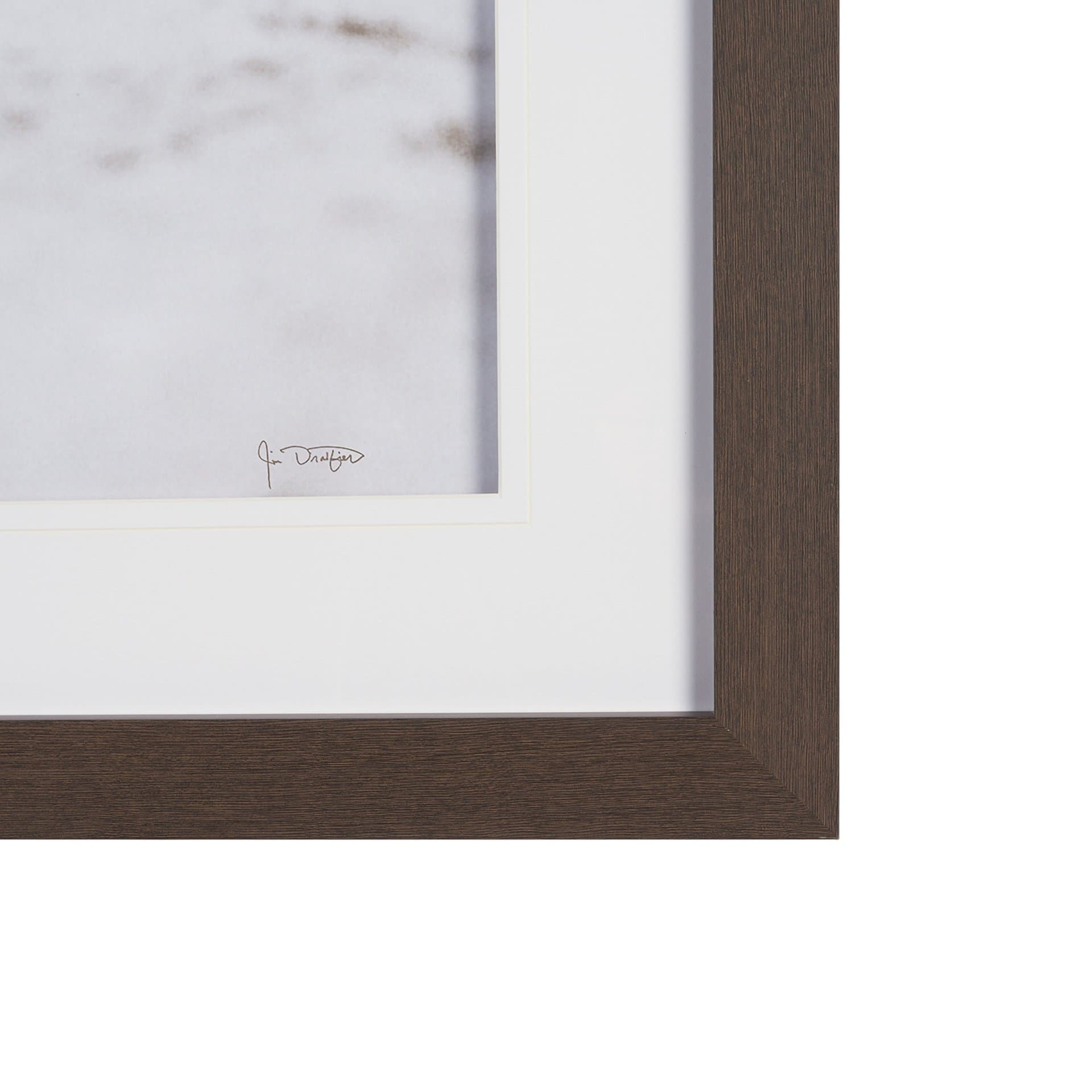 We See You Dogs by Jim Dratfield Framed Photo Print under Glass — product photograph