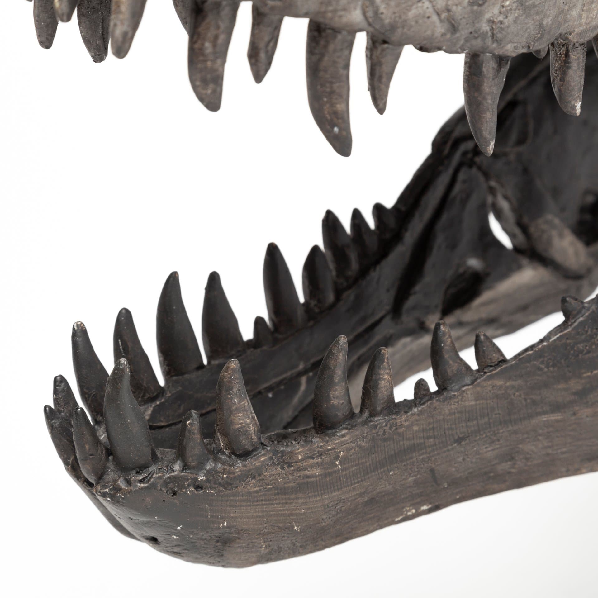 Jurassic 6L x 10W Brown Resin Tyrannosaurus Skull Replica — product photograph