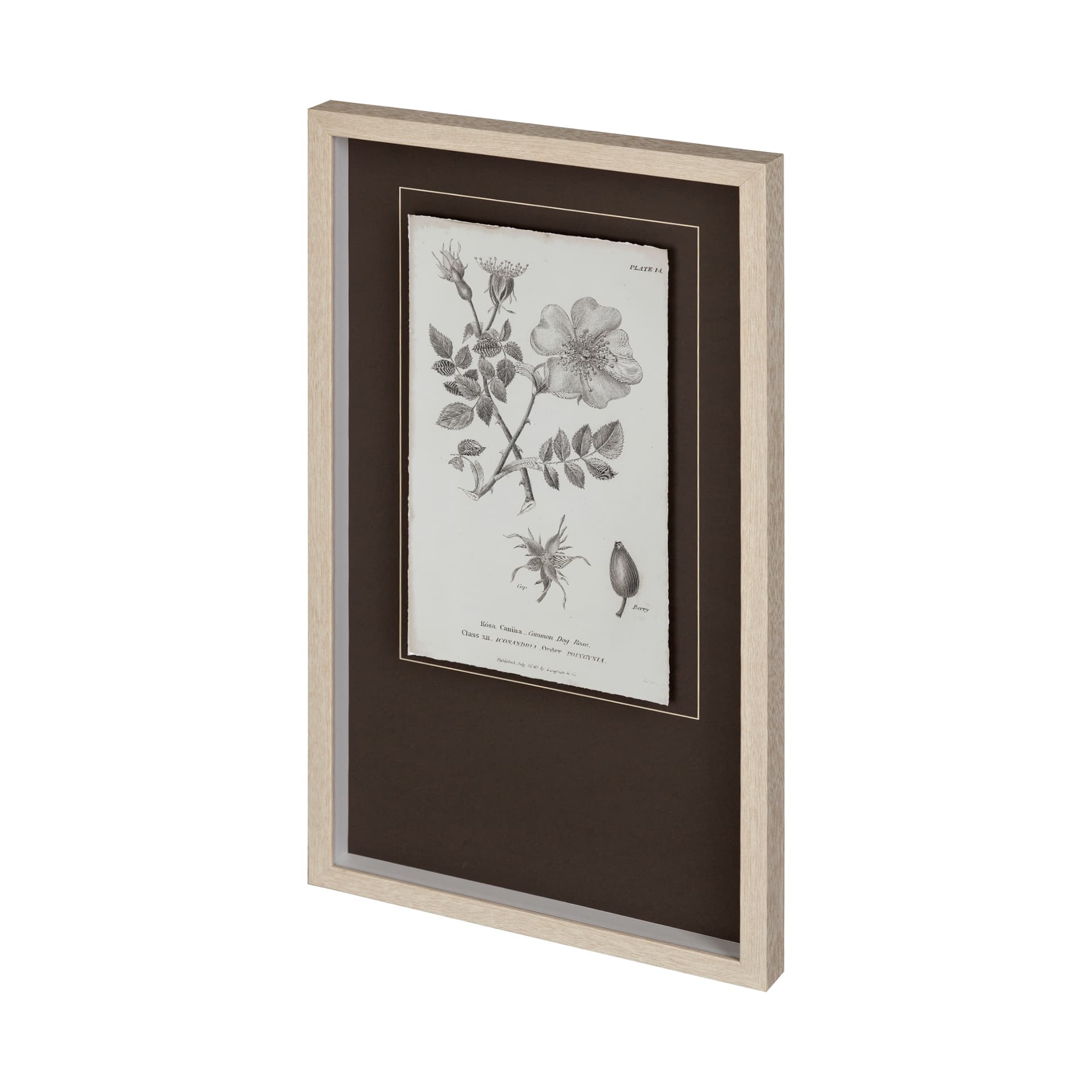 Conversations on Botany IV by Mercana Studio Hand Embellished Framed Art Print Matted under Glass — product photograph