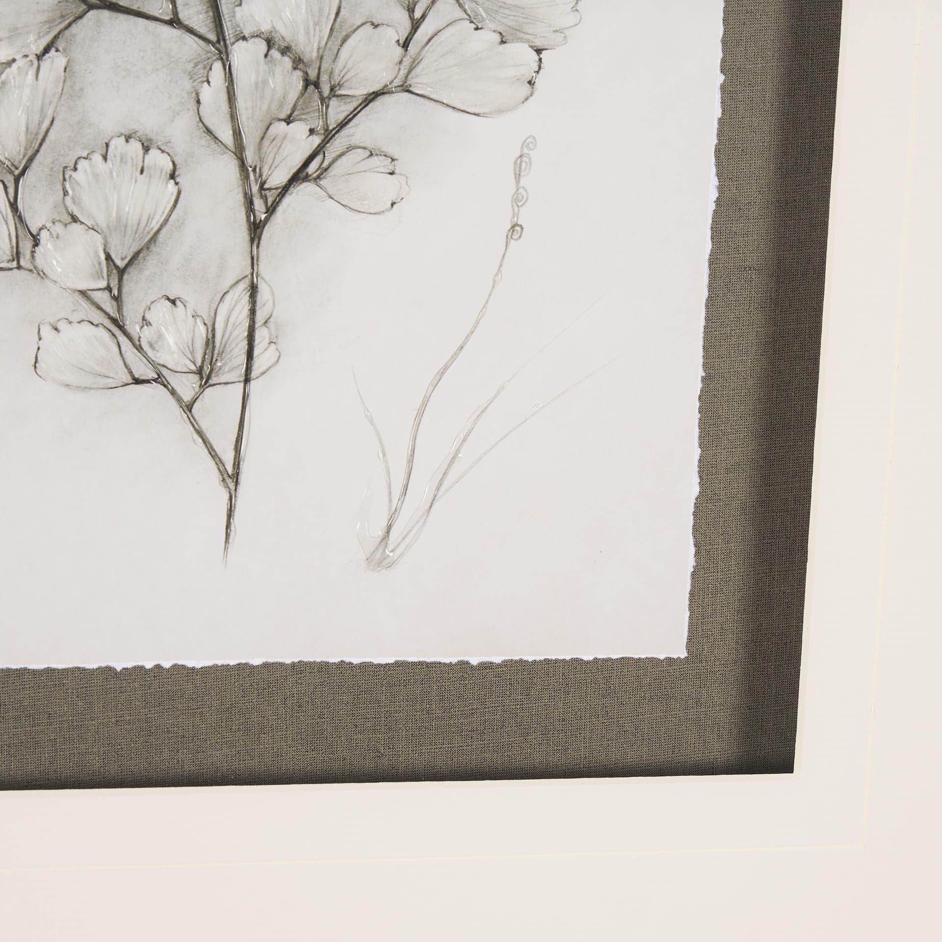 Fern Study IV (Capillus Veneris) Mercana Studio Hand Embelished Framed Art Print Matted under Glass — product photograph