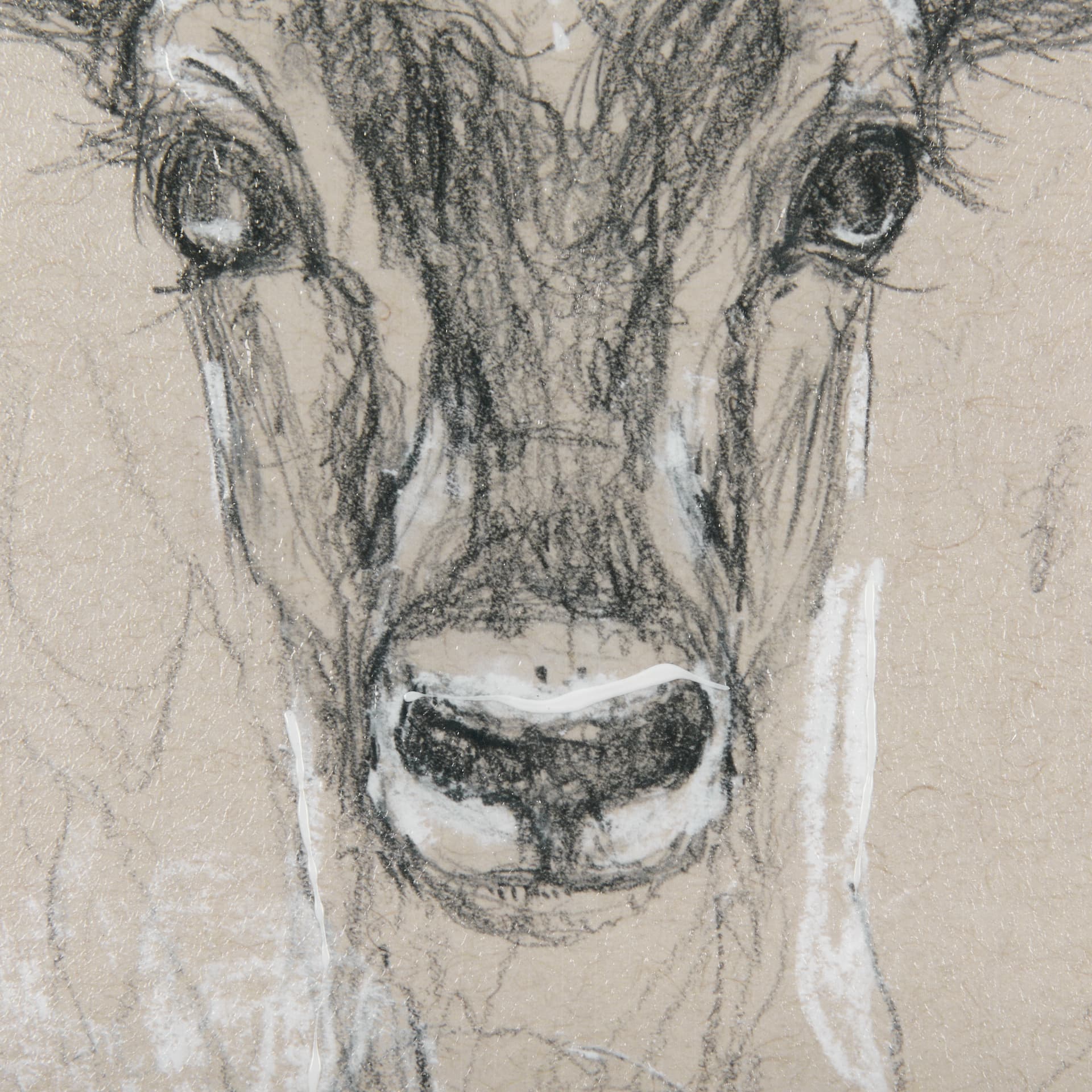 Sketch of Animal III (Antelope) Mercana Studio Hand Embellished Framed Art Print Matted under Glass — product photograph