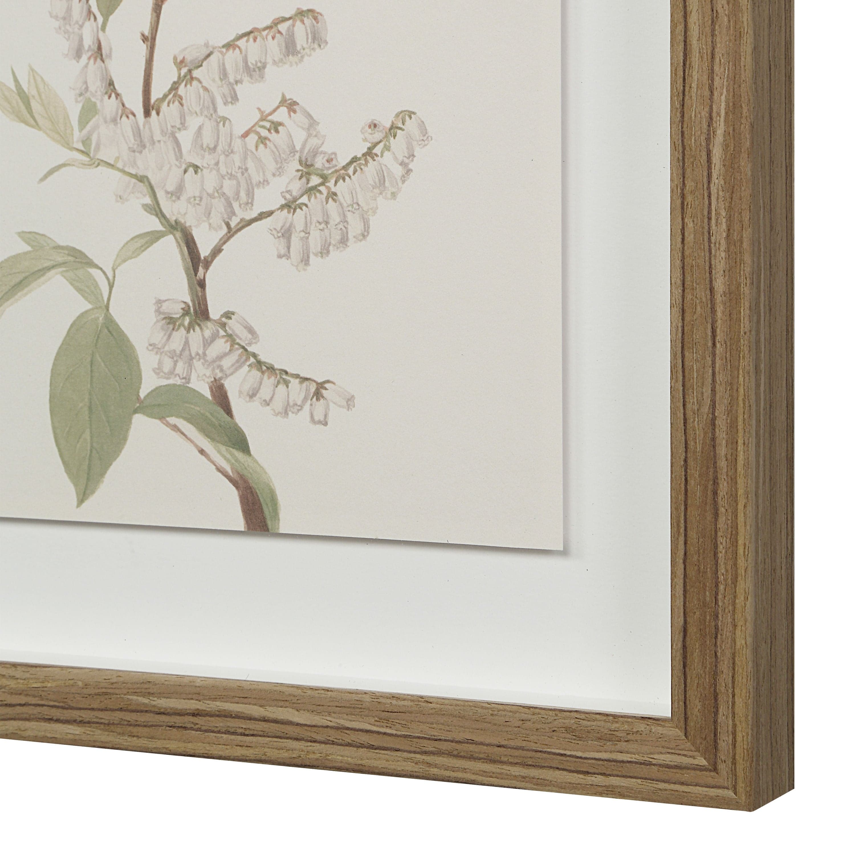 Crema — product photograph