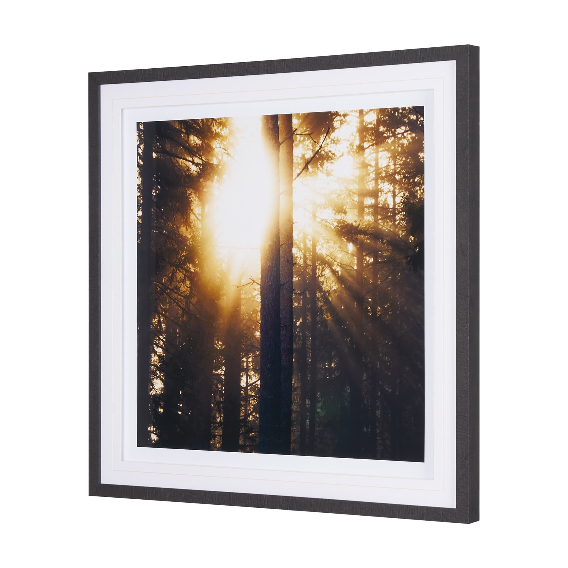 Woodland Glow by Andreas Stridsberg a Hand Embelished Textured Framed Art Photo Matted under Glass — product photograph