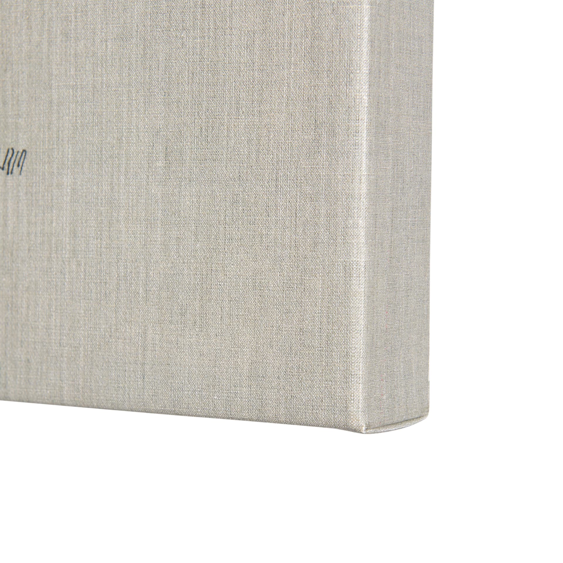 Moth II by Mercana Studio a Hand Embellished Textured Canvas — product photograph