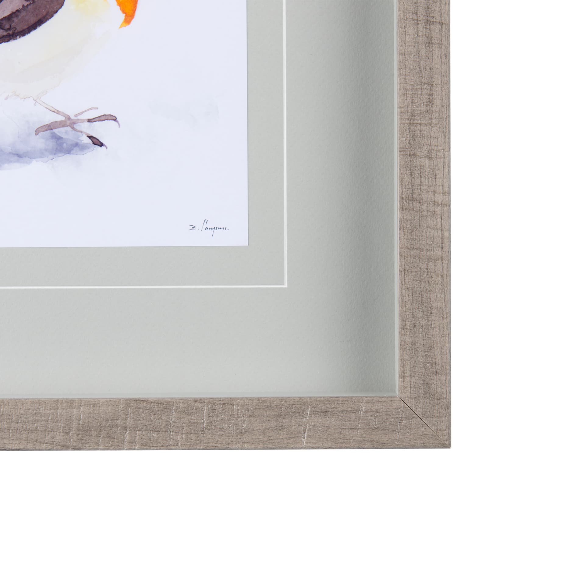 Robin II by Mercana Studio a Hand Embellished Textured Framed Art Print Matted under Glass — product photograph