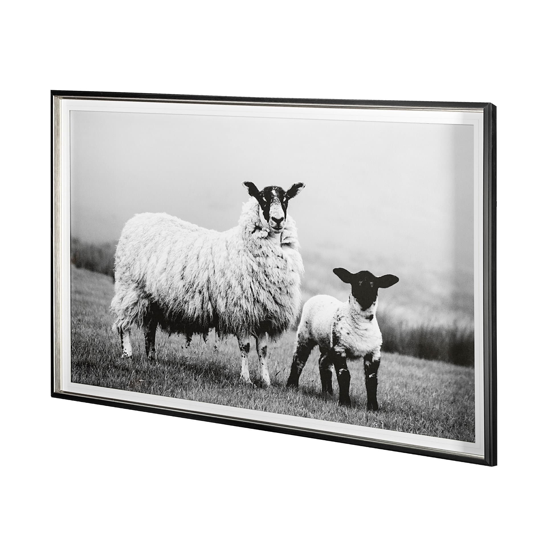 Islay Sheep I by Laura Marshall a Framed Photo Art Print Matted under Glass — product photograph