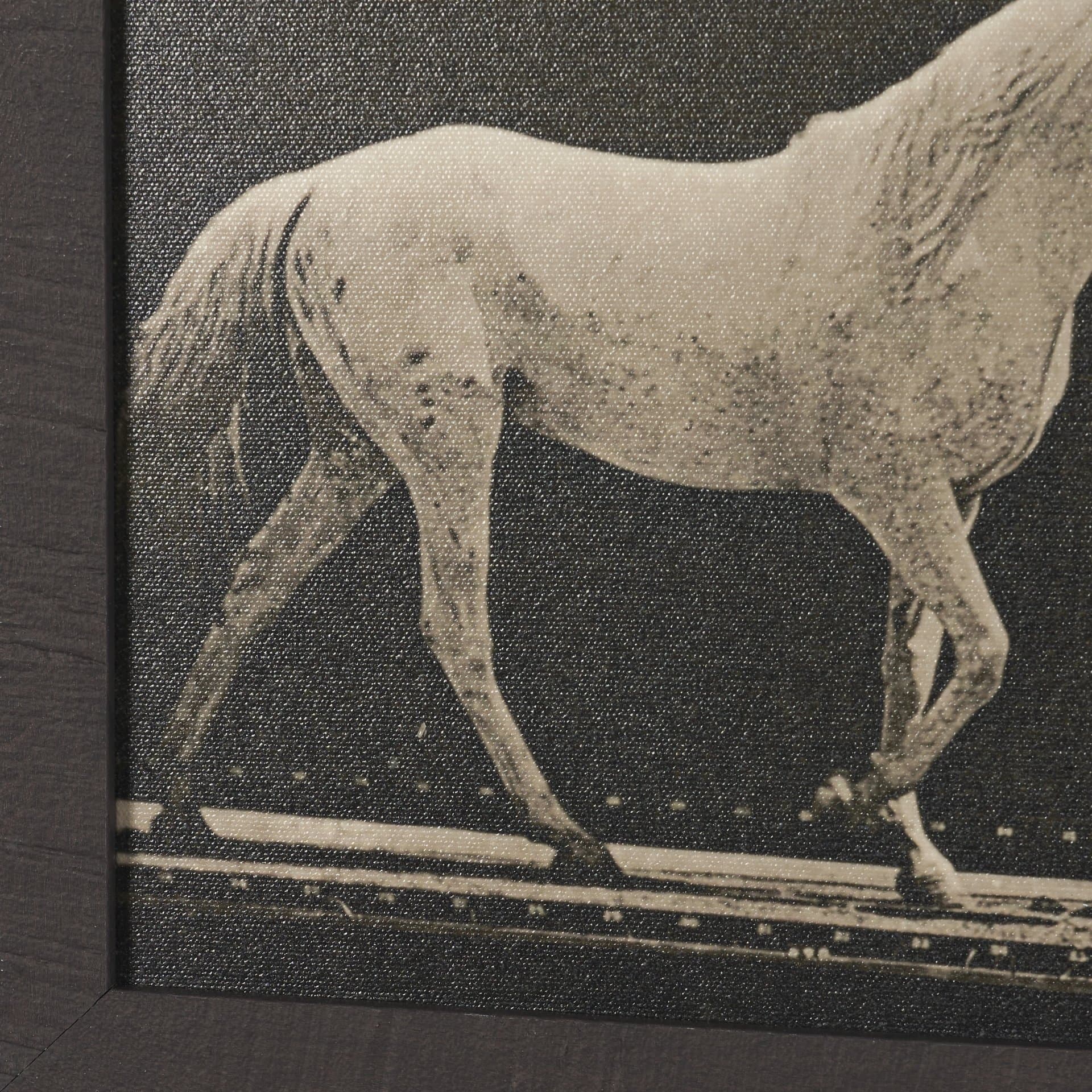 Walking Tall by Eadweard Muybridge Textured Framed CanvasPhoto Print — product photograph