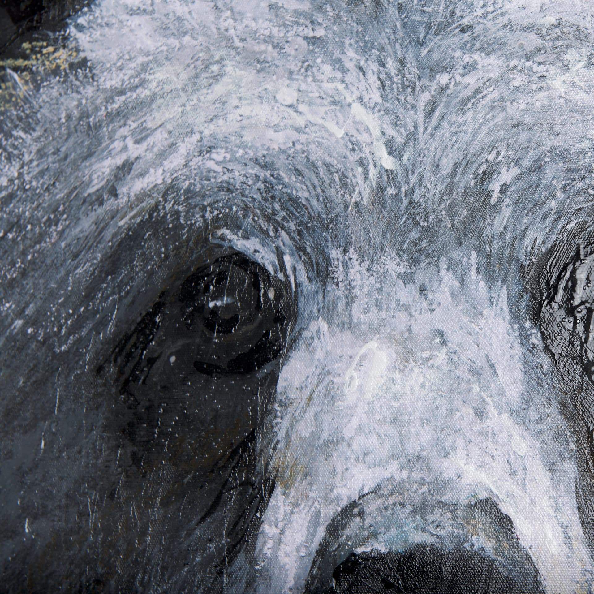 Animal Portrait III by Mercana Studio a Hand Embellished Textured Canvas — product photograph