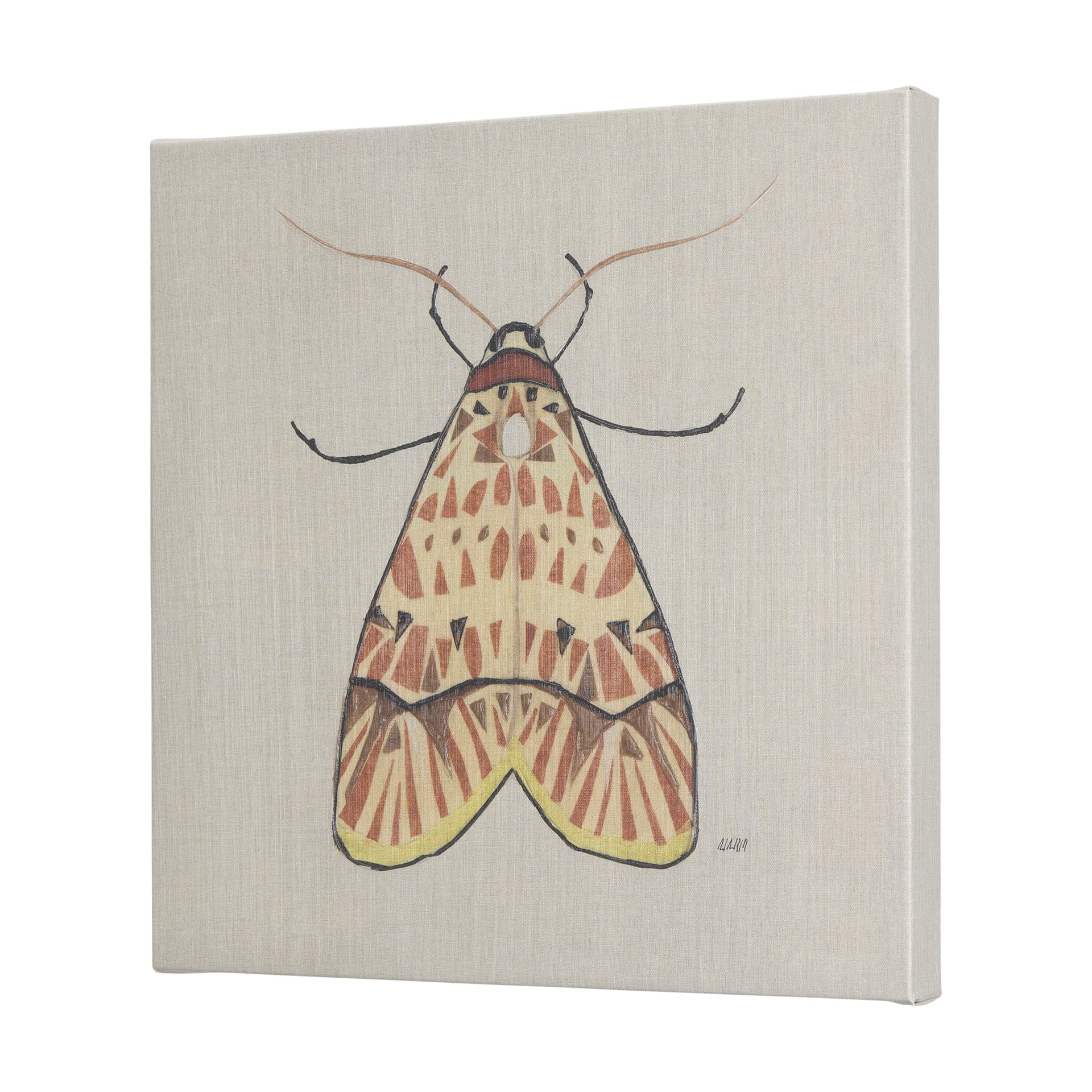Moth I by Mercana Studio a Hand Embellished Textured Canvas — product photograph