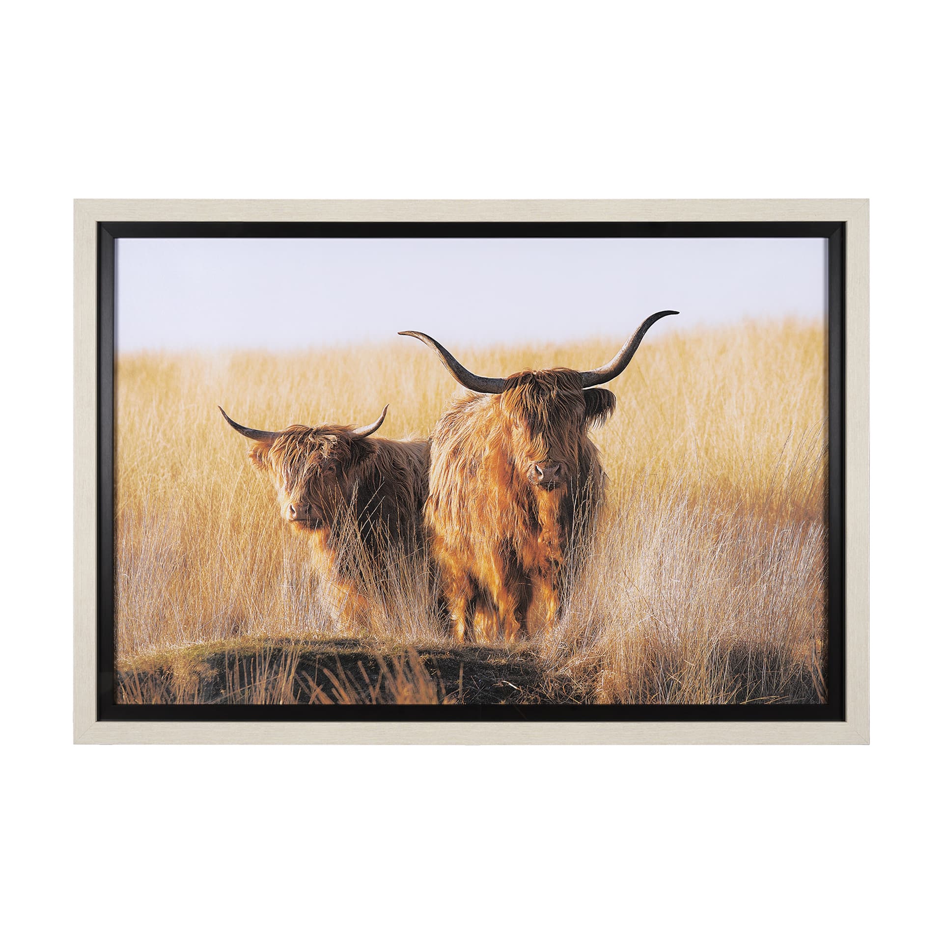 Young and Old Highlander by Mercana Studio Hand Embellished Framed Photo Art Print Matted under Glas — product photograph