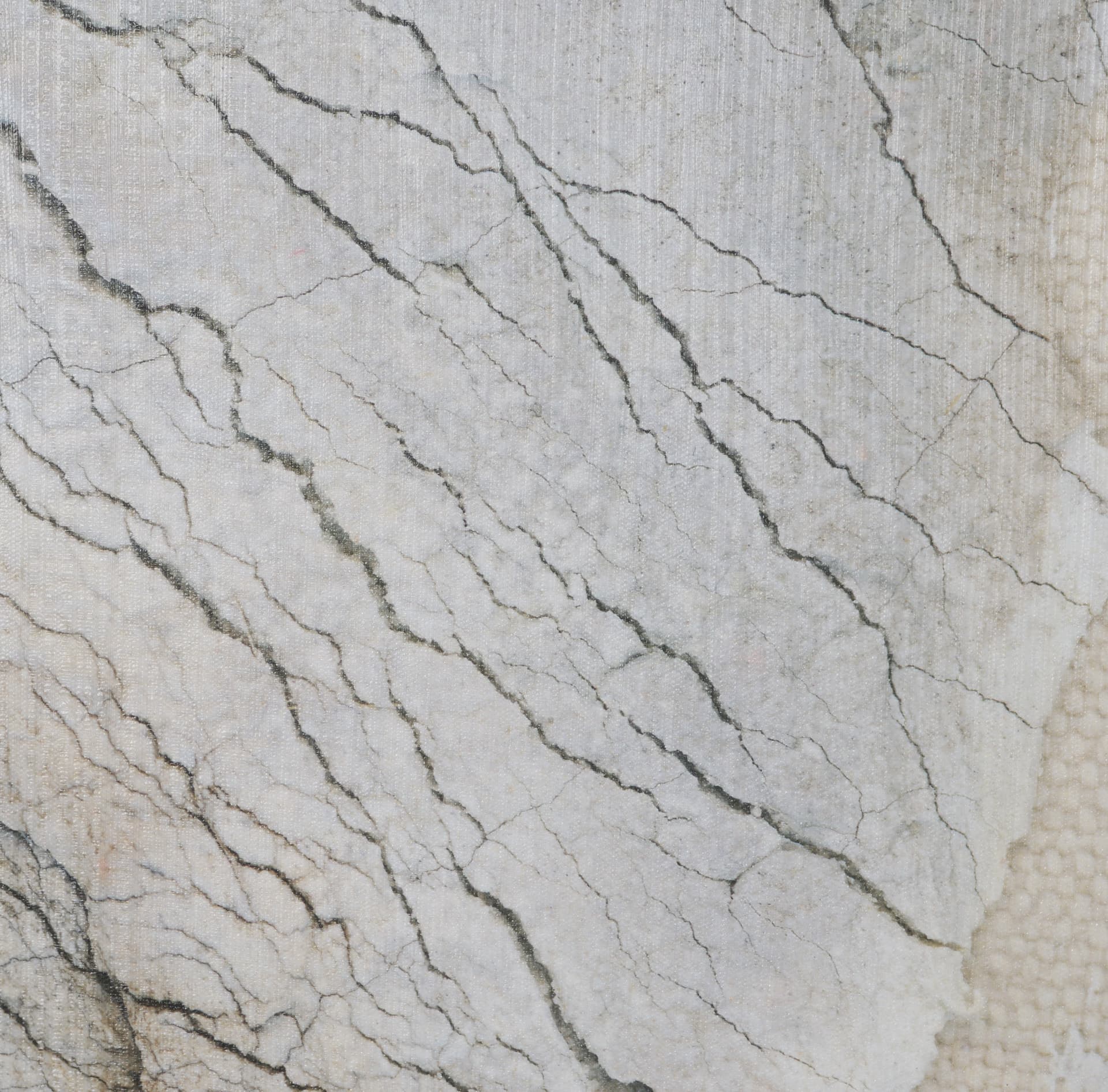 Evolution by Ira Havuka Hand-Embellished Textured Framed Canvas Artwork — product photograph