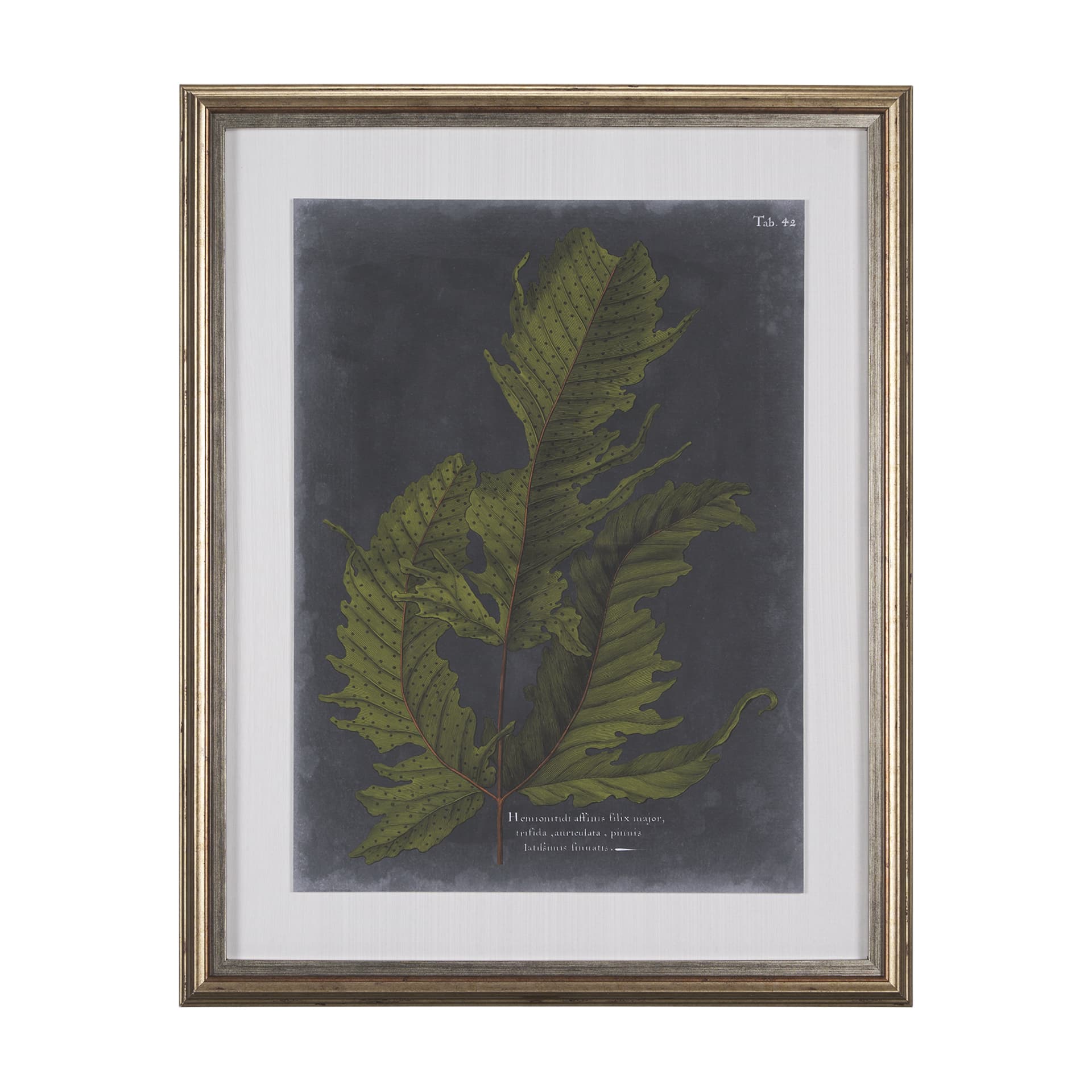 Foliage Dramatique I by Vision Studio Hand Embellished Textured Framed Art Print Matted under Glass — product photograph