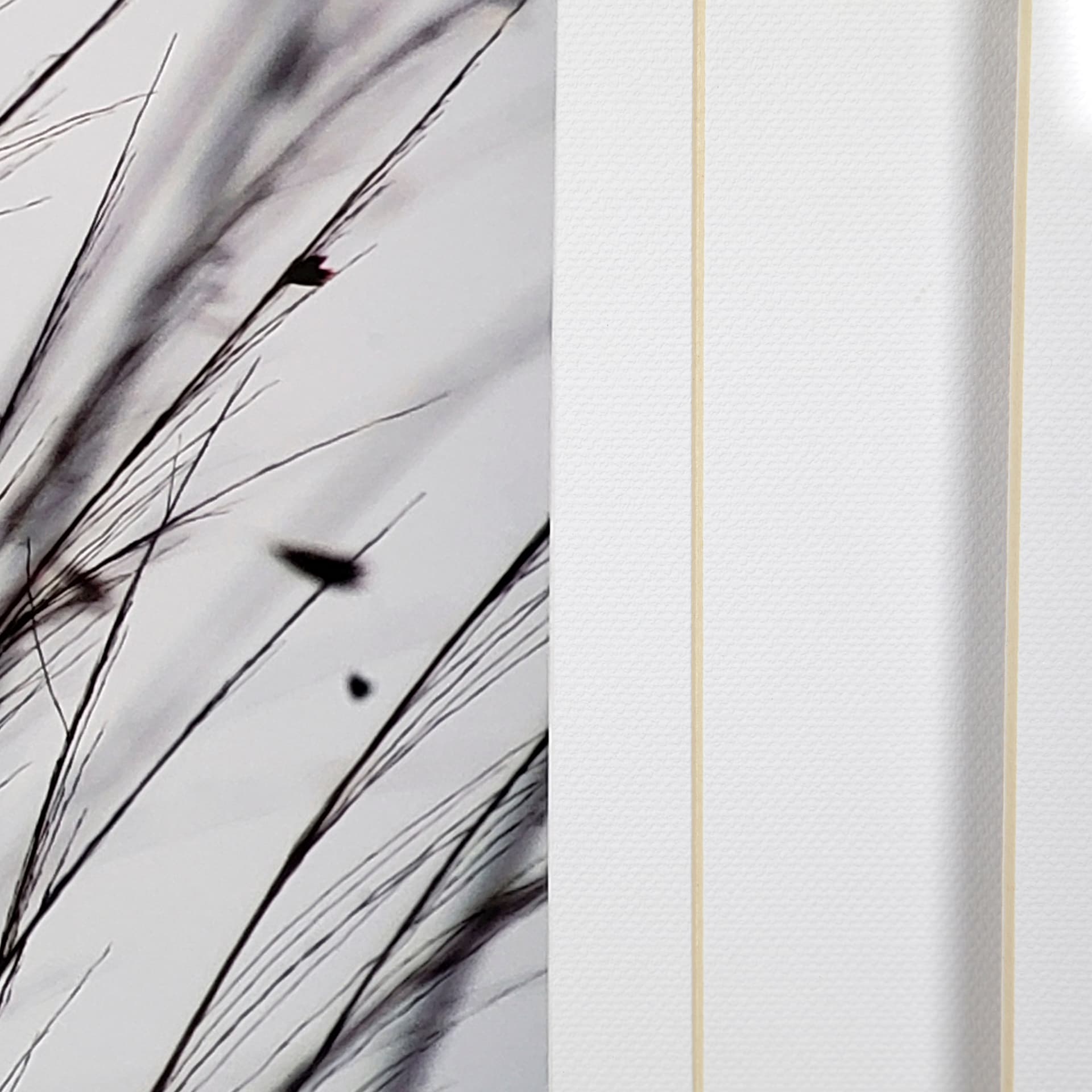 Organic II by Tony Koukos a Hand Embellished Textured Framed Art Photograph Matted under Glass — product photograph