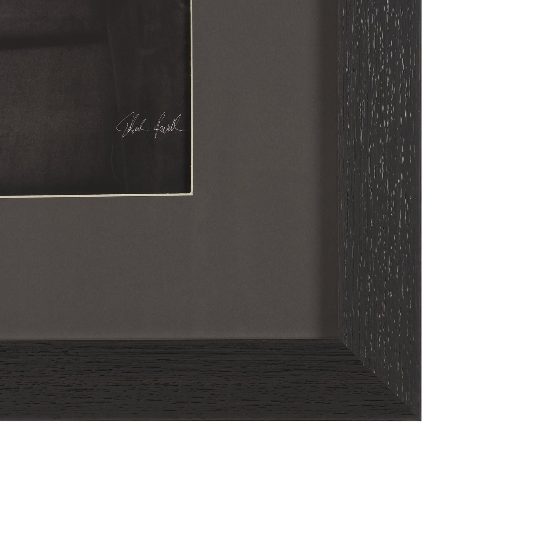 Moose Canoe by Deborah Revell Framed Art Print Matted under Glass — product photograph