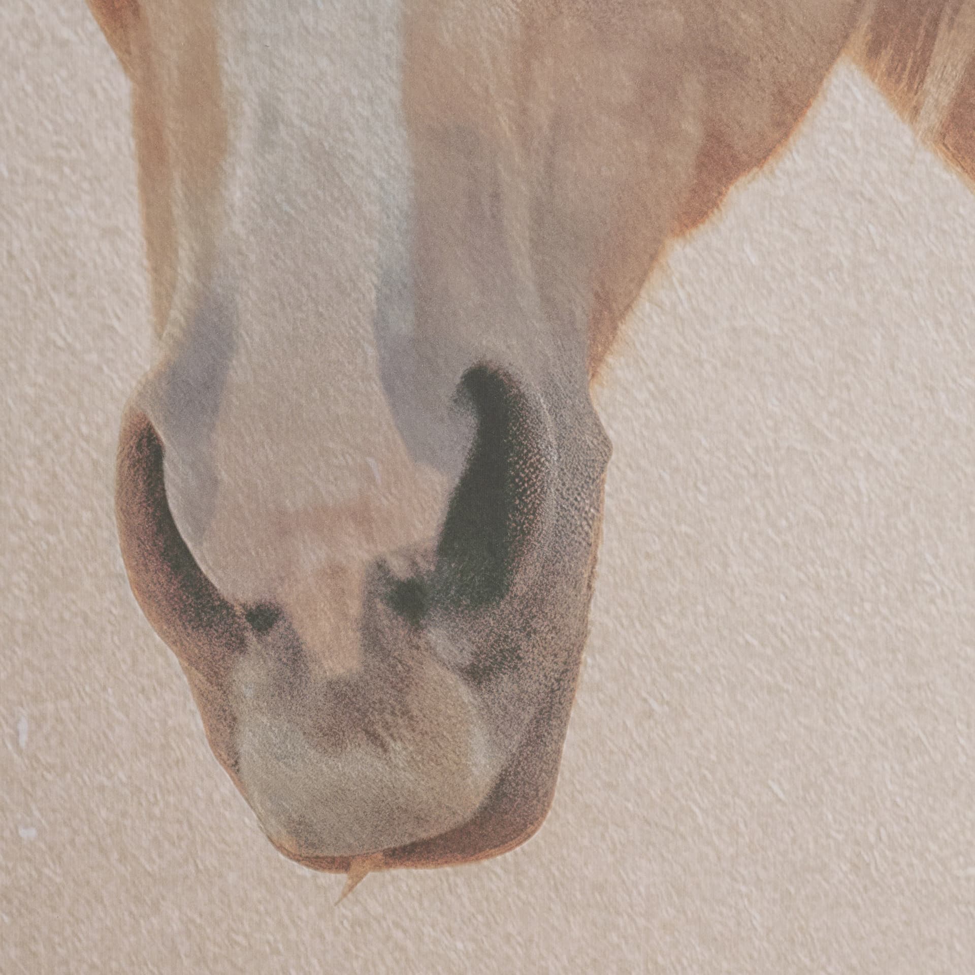 Looking Back by Nathan Larson FramedPhoto Print Matted under Glass — product photograph