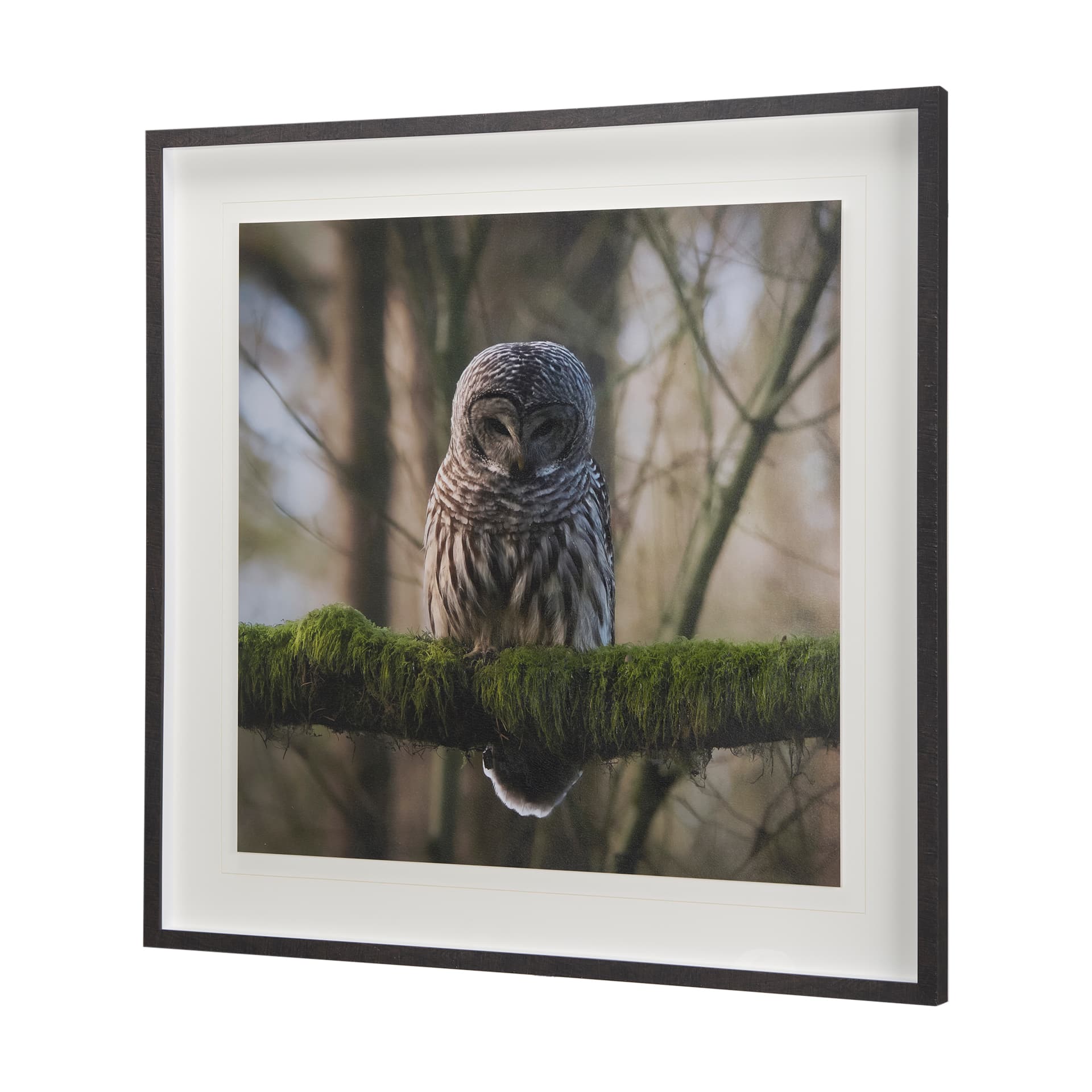 Forest Owl by Chad Mackay a Hand Embellished Textured Framed Photo Art Print Matted under Glass — product photograph