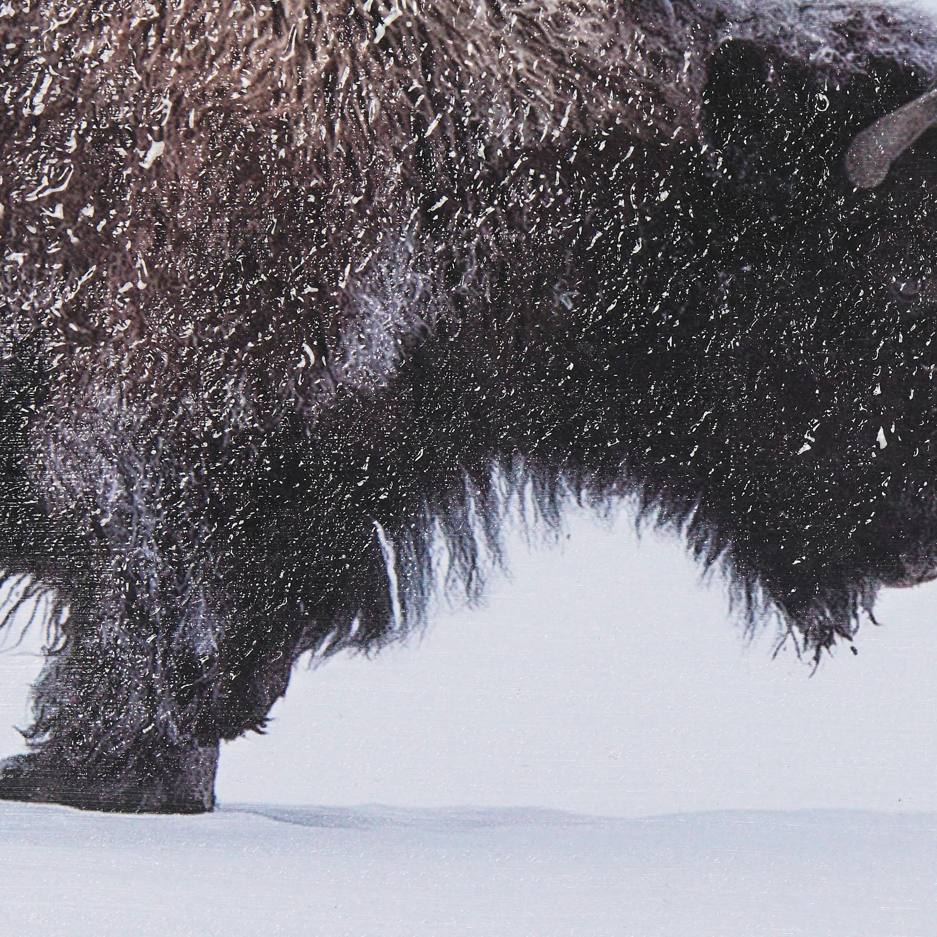 Frozen Trek by Mercana Studio a Hand Embellished Textured Framed Photo Art Print Matted under Glass — product photograph