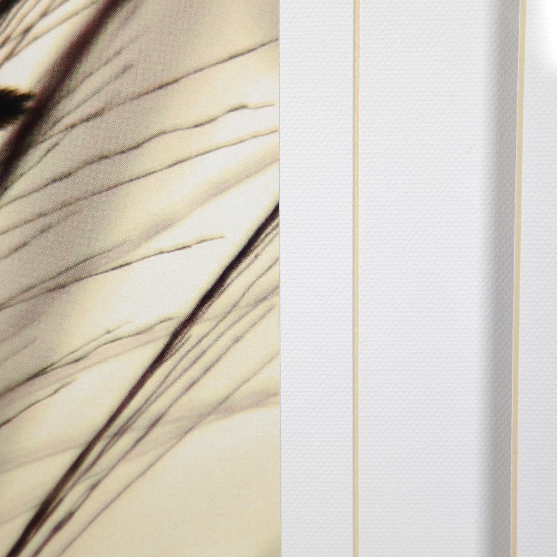 Organic I by Tony Koukos a Hand Embellished Textured Framed Art Photograph Matted under Glass — product photograph